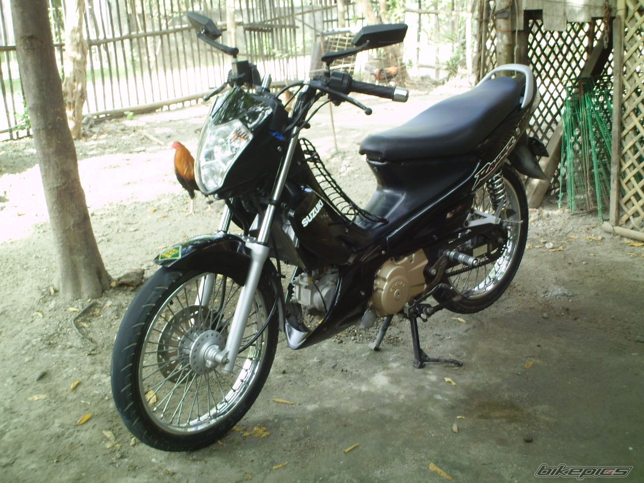 Photo 1845553