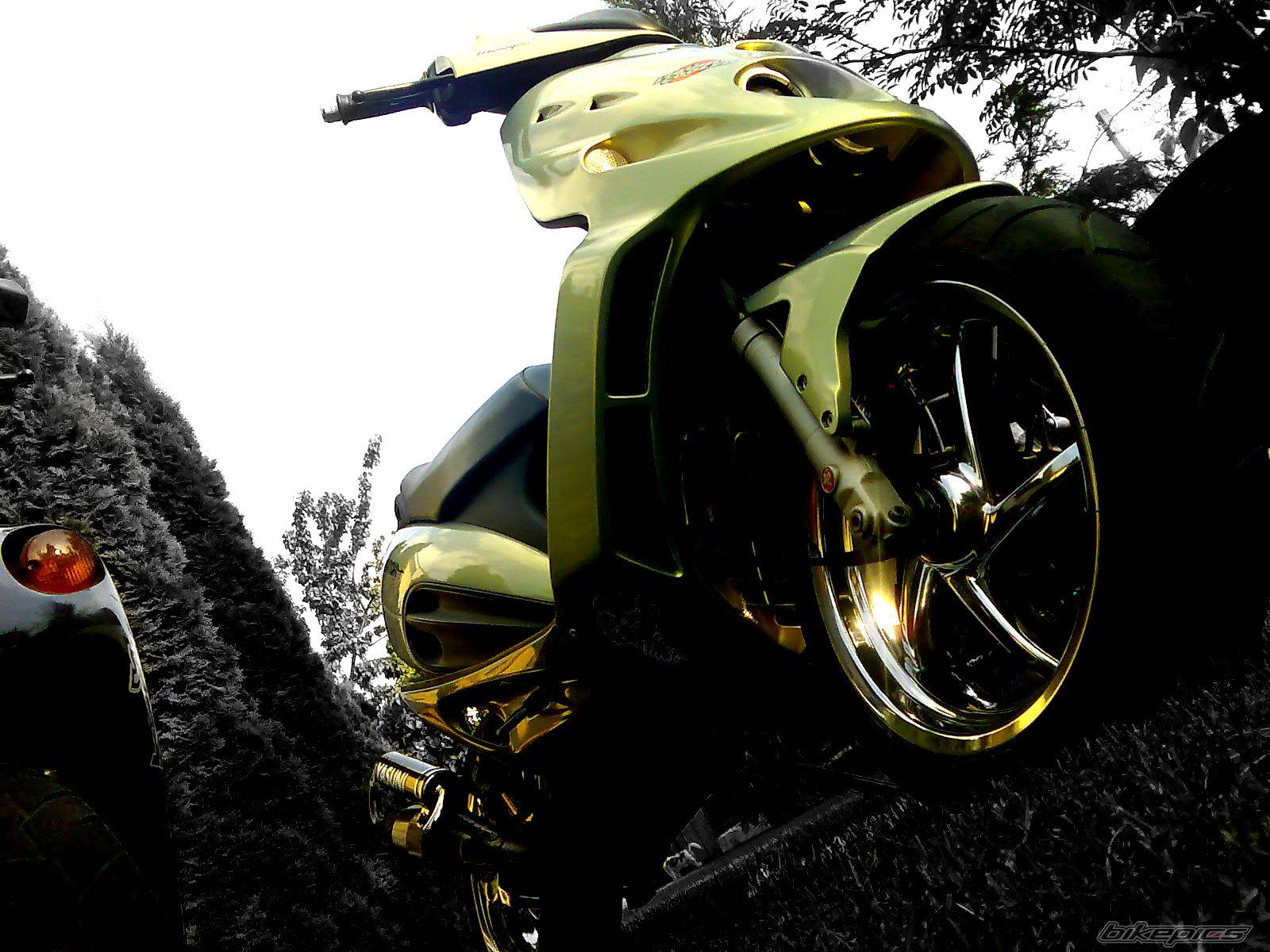 Bike Photo 1845959