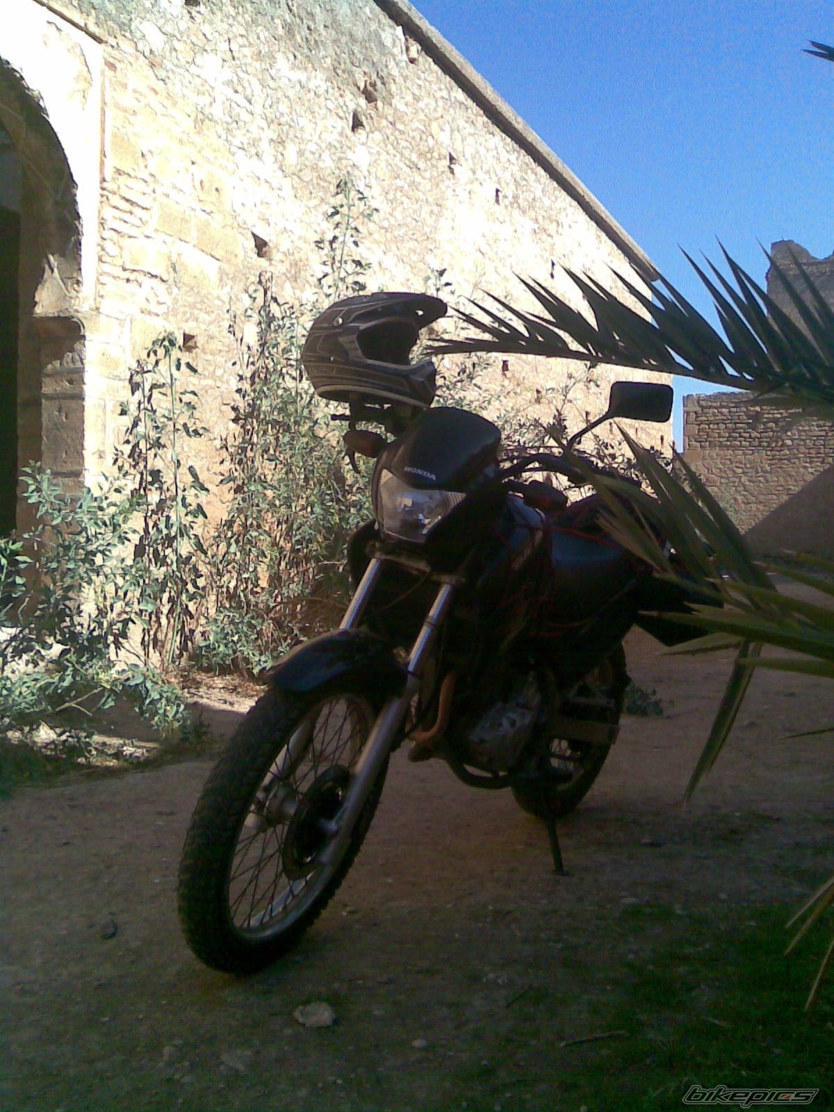 Photo 1845964