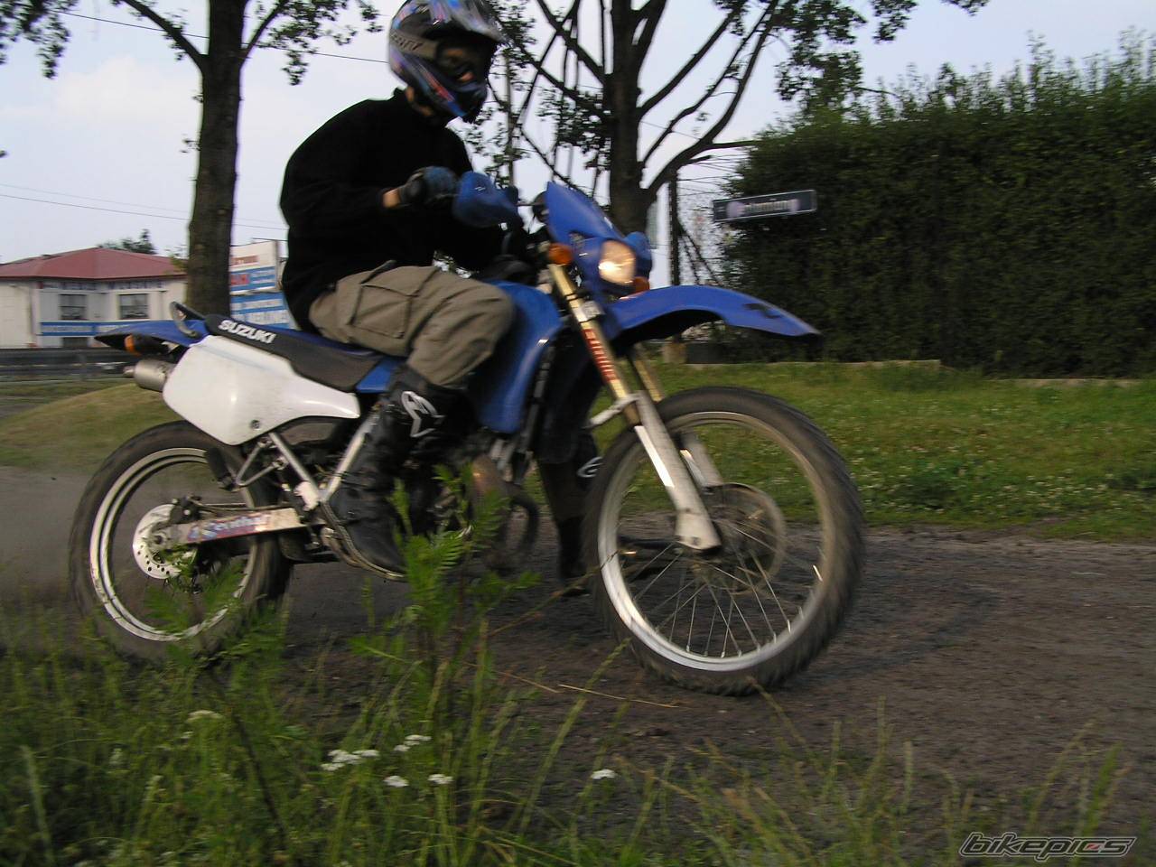 Photo 184613