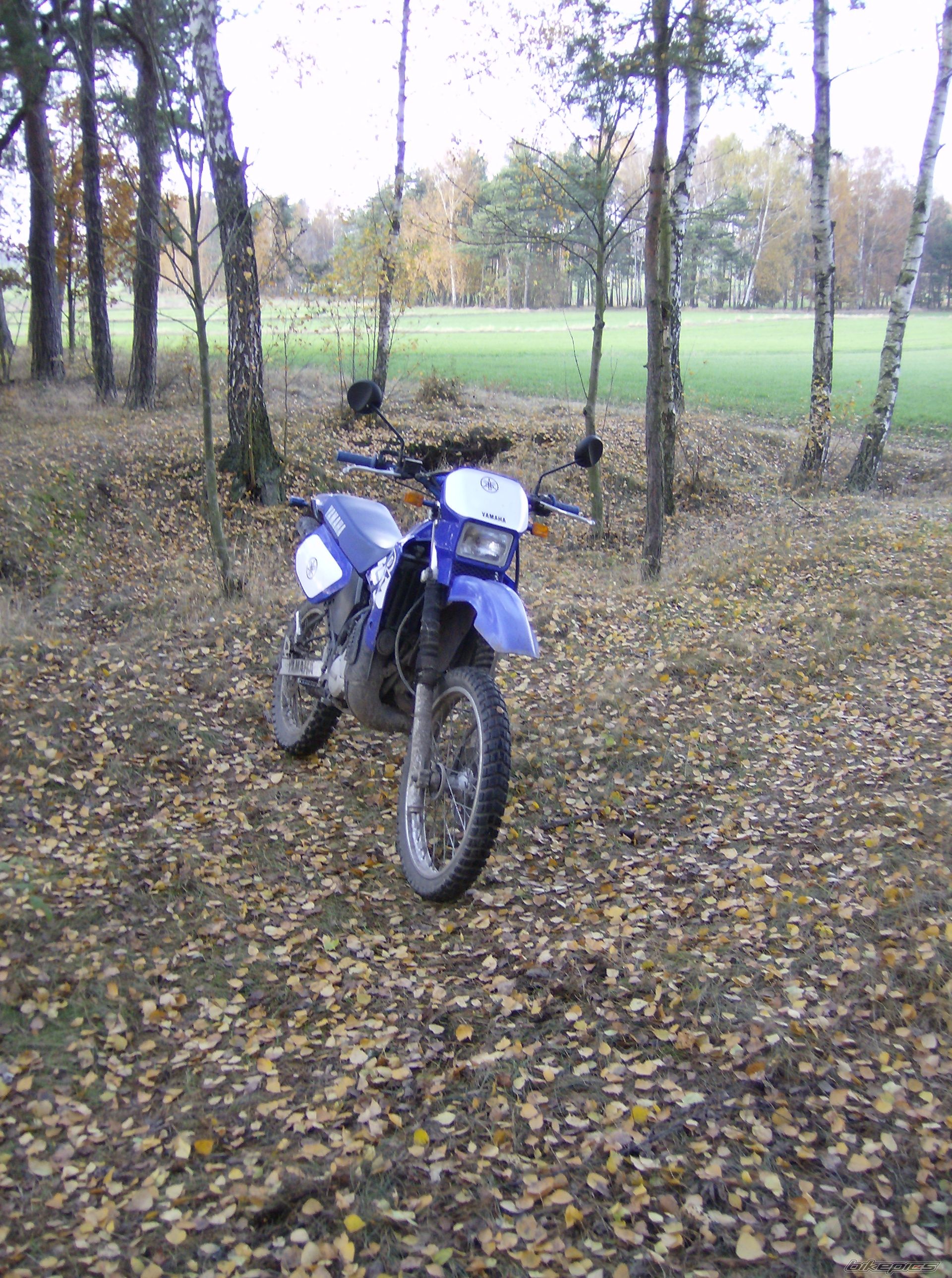 Photo 1846255