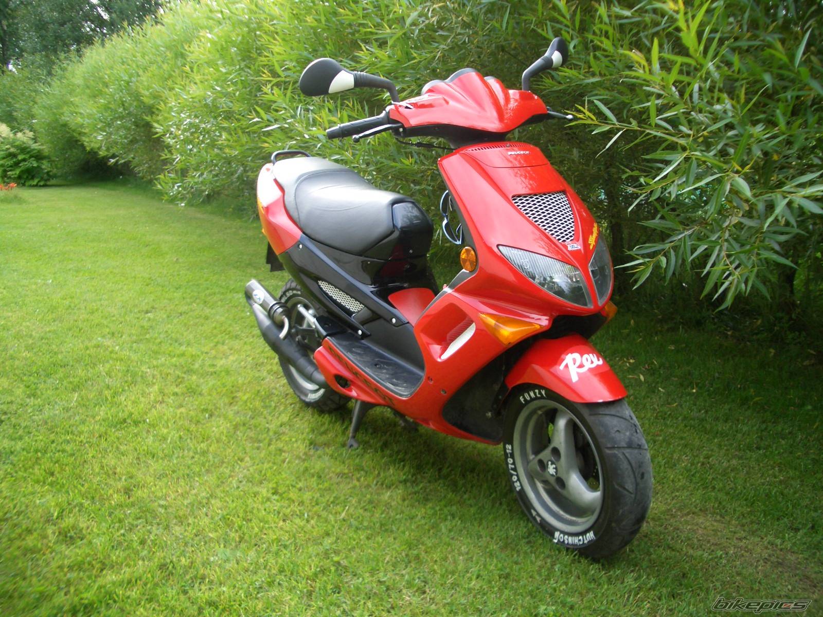 Photo 184633