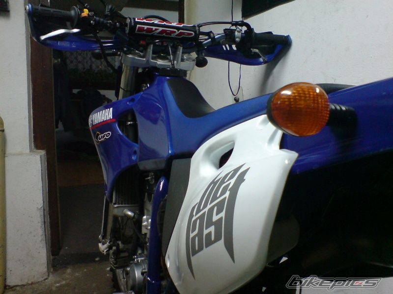 Photo 1846597