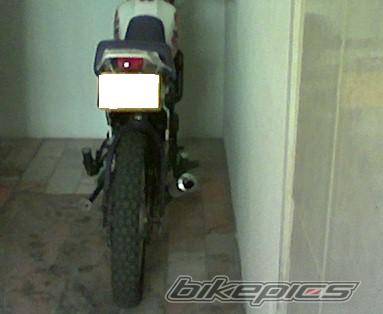 Photo 184662