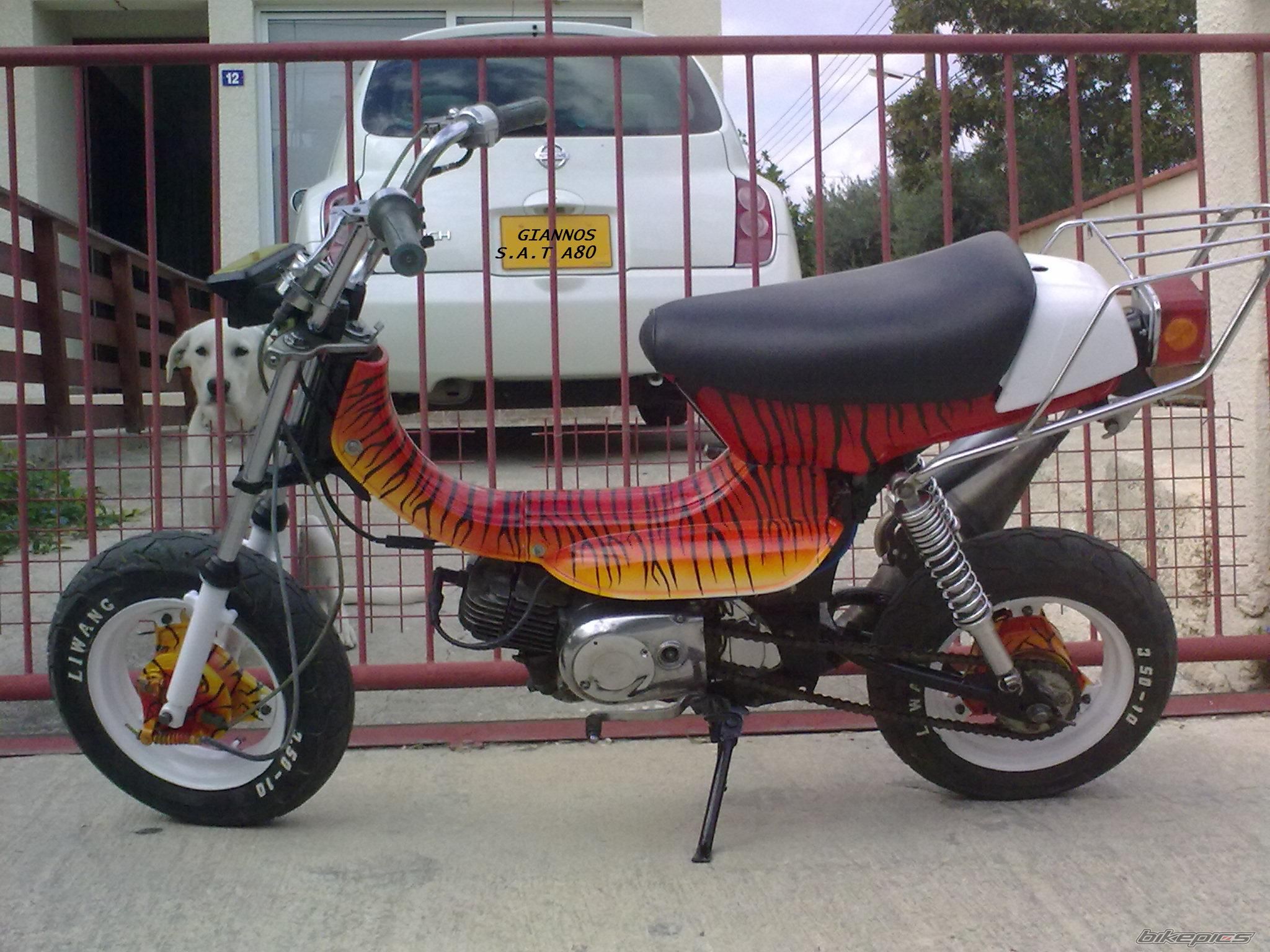 Photo 1846677