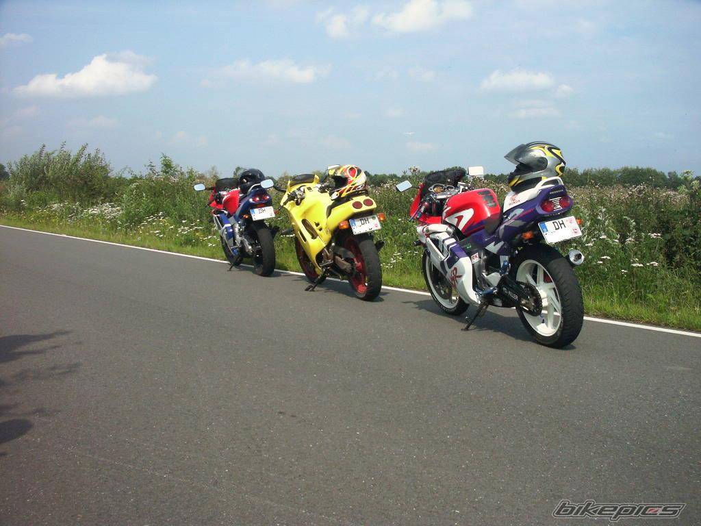 Photo 184674