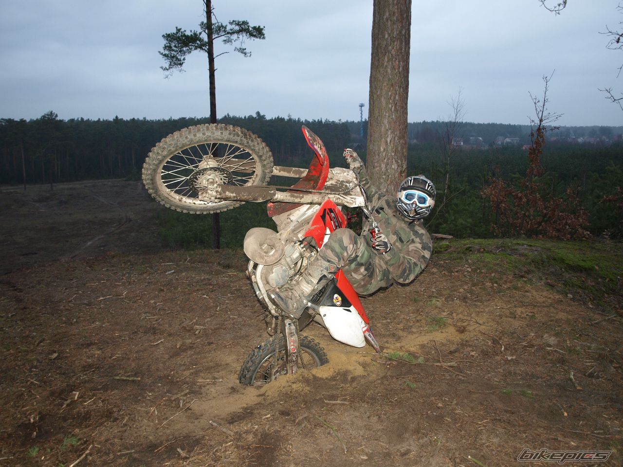 Photo 1846897