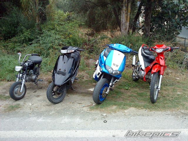 Photo 1846916