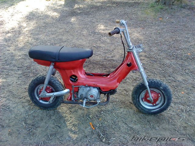 Photo 1846928
