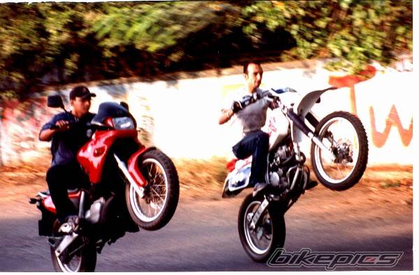 Photo 18470