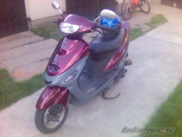Photo 1847107