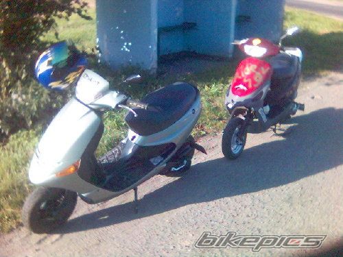 Photo 1847112