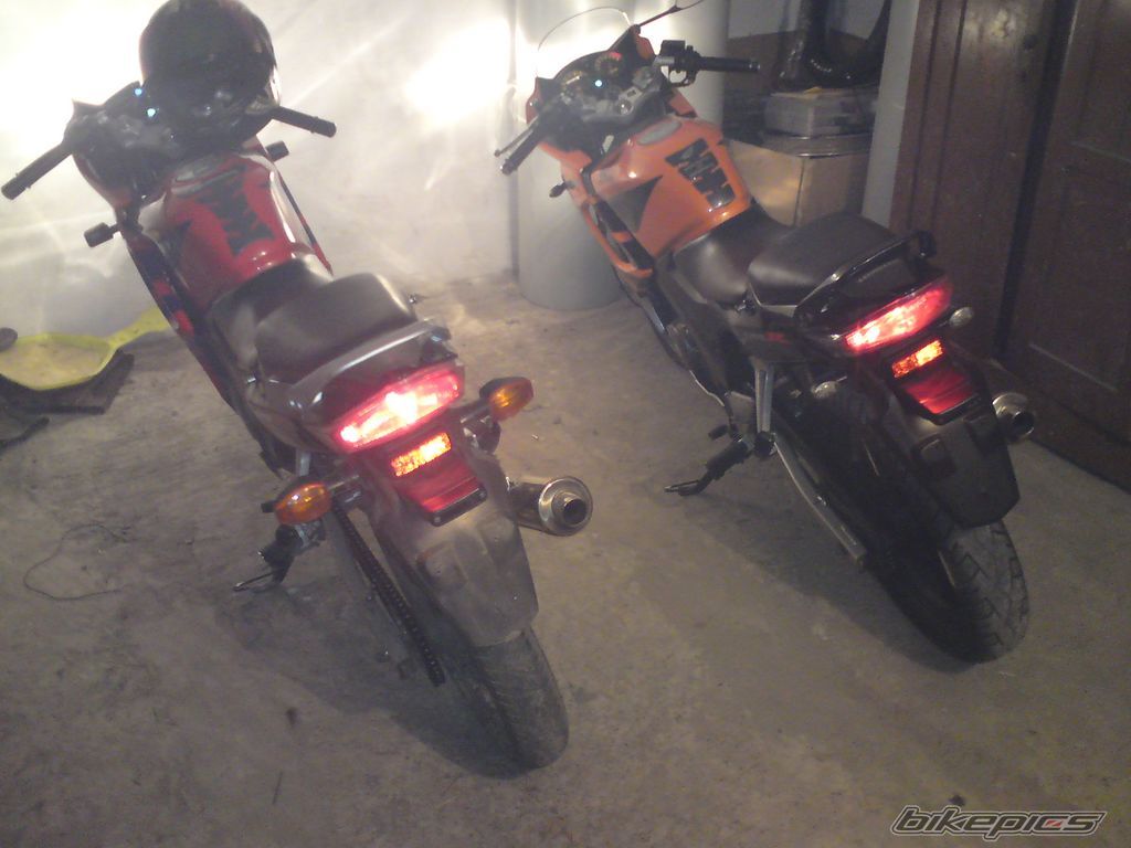 Photo 1847159