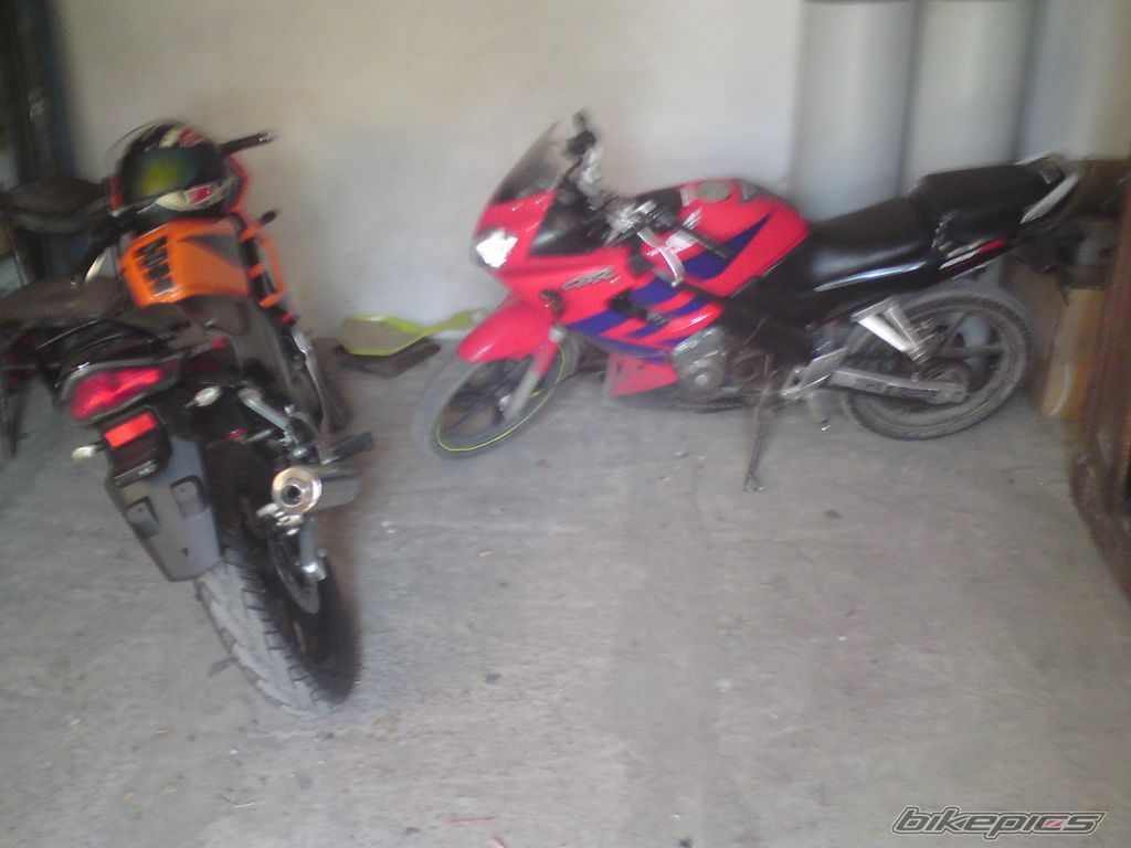 Photo 1847161