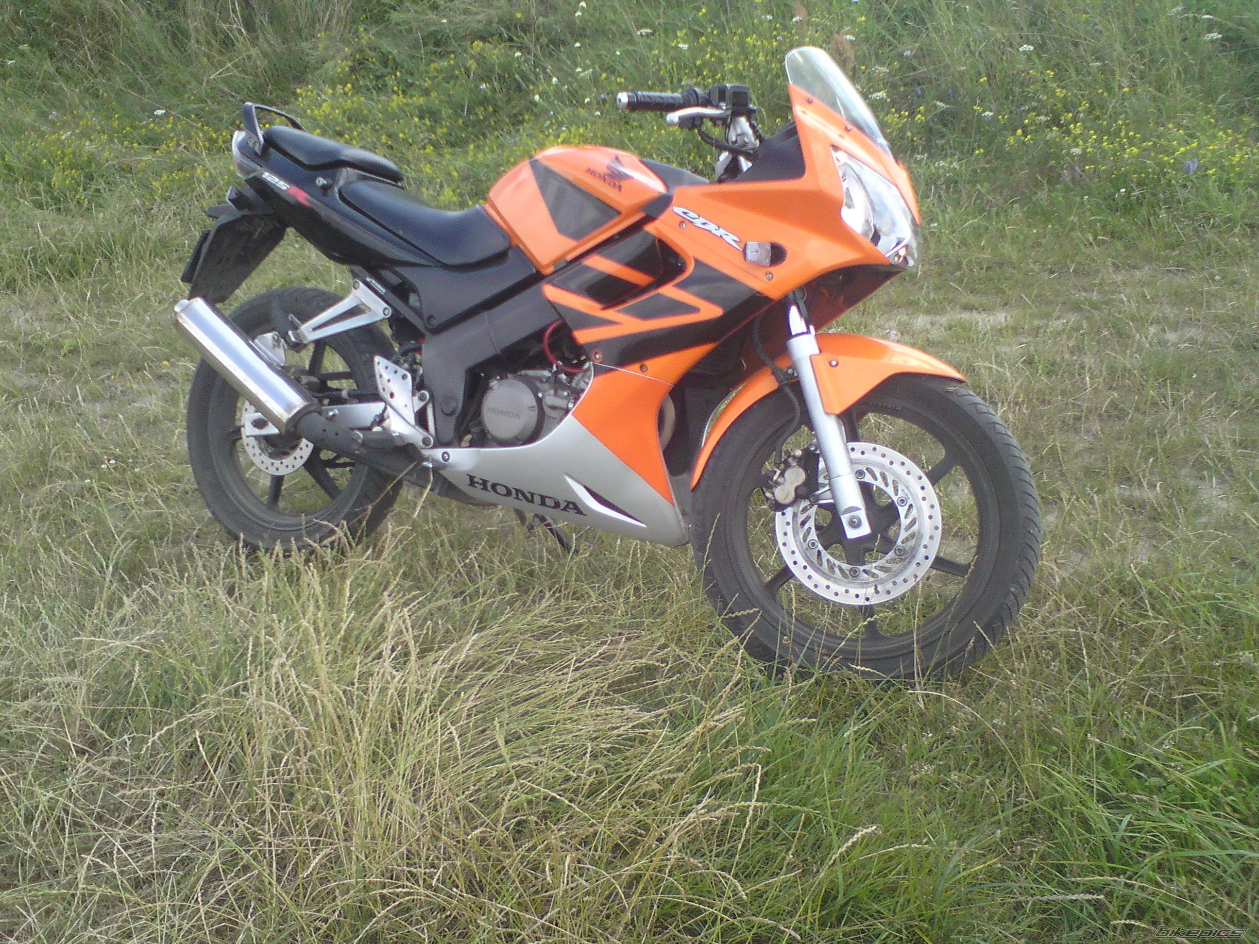 Photo 1847239