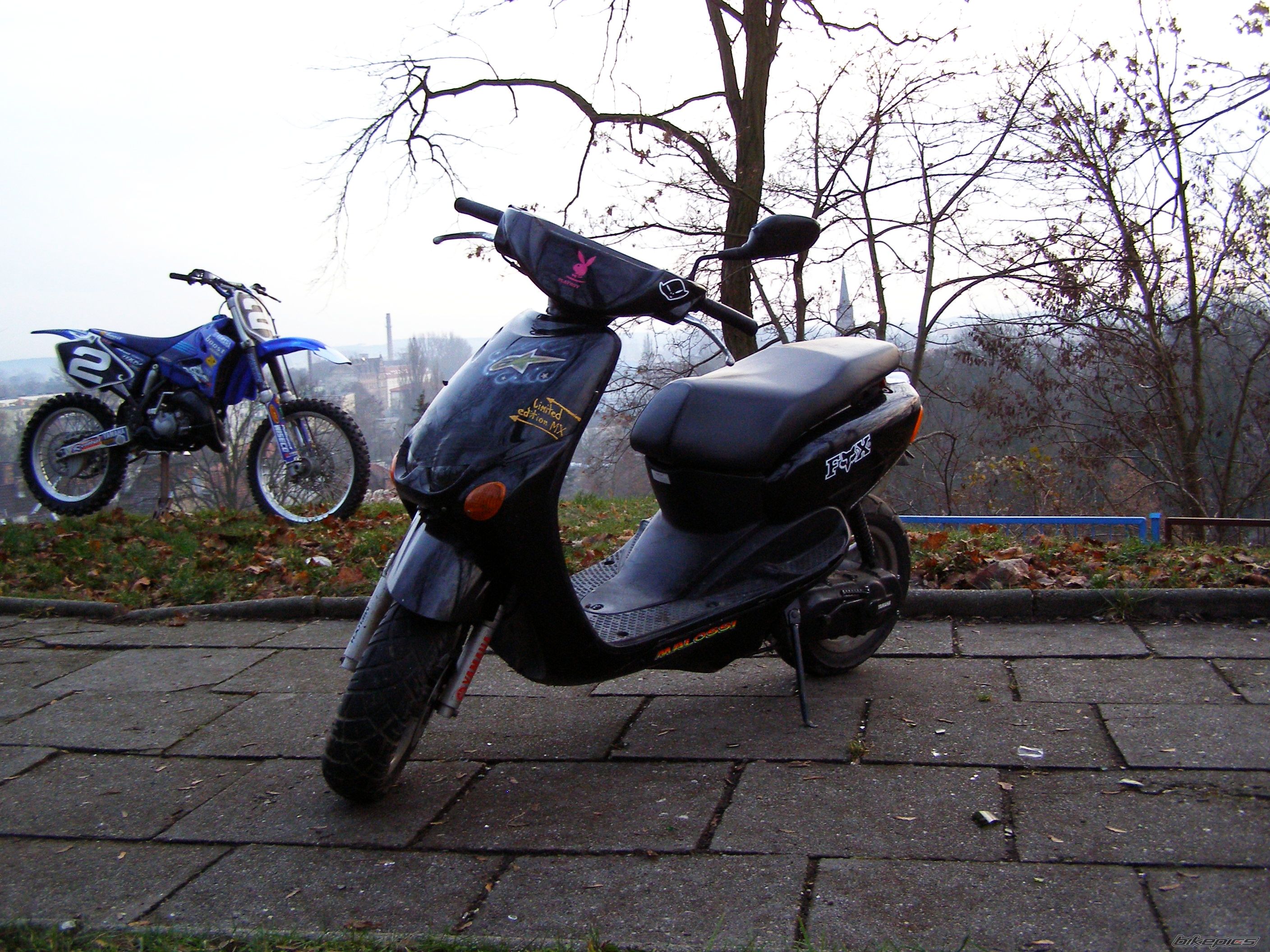 Photo 1847241