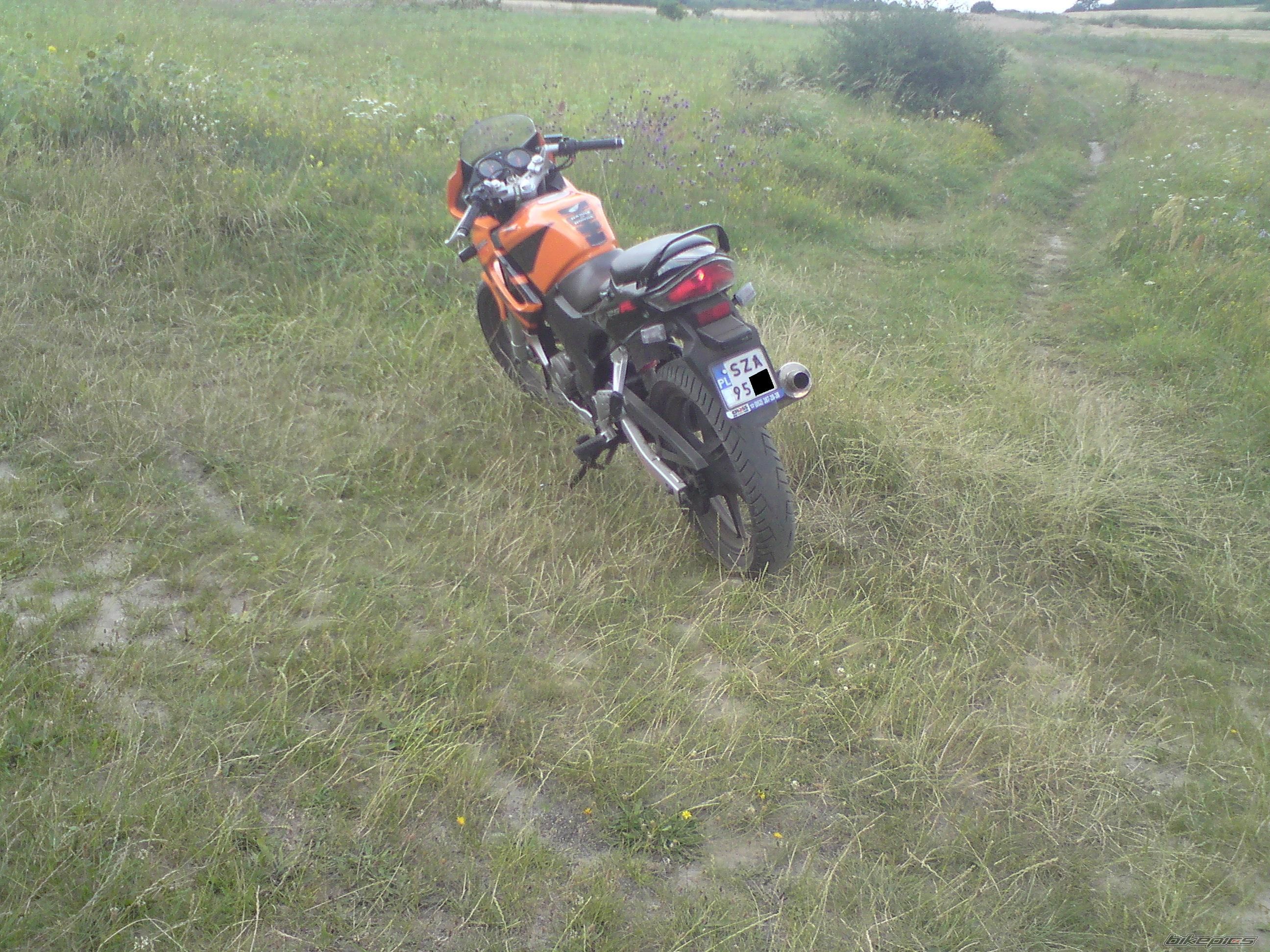 Photo 1847246