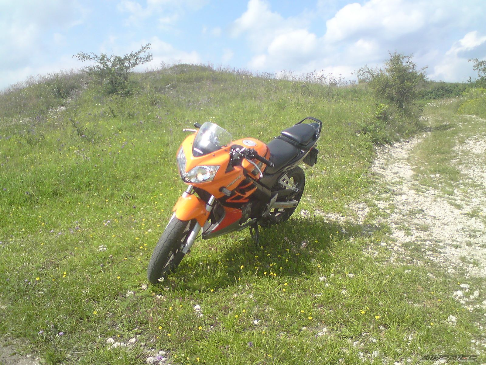 Photo 1847248