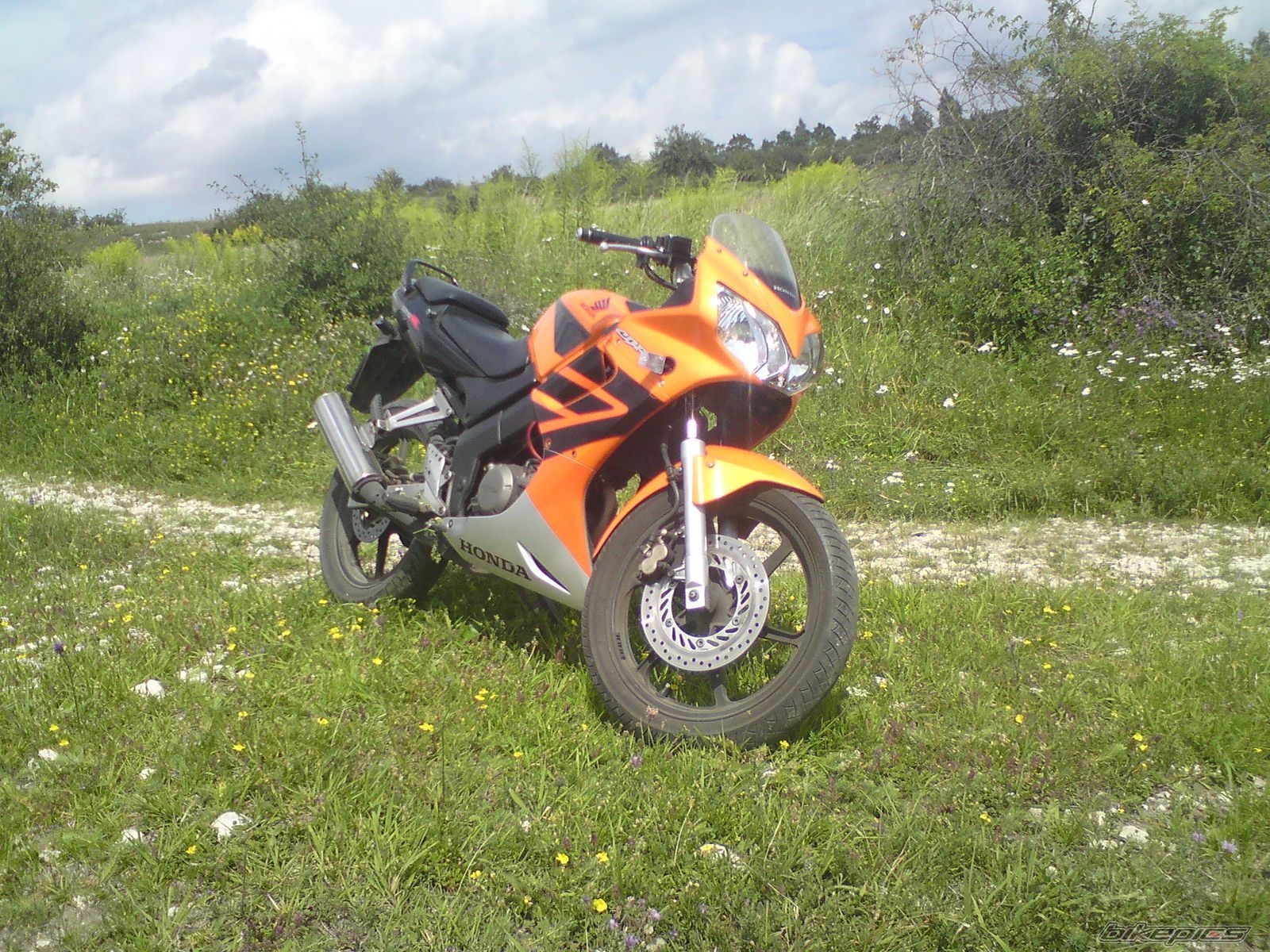 Photo 1847249