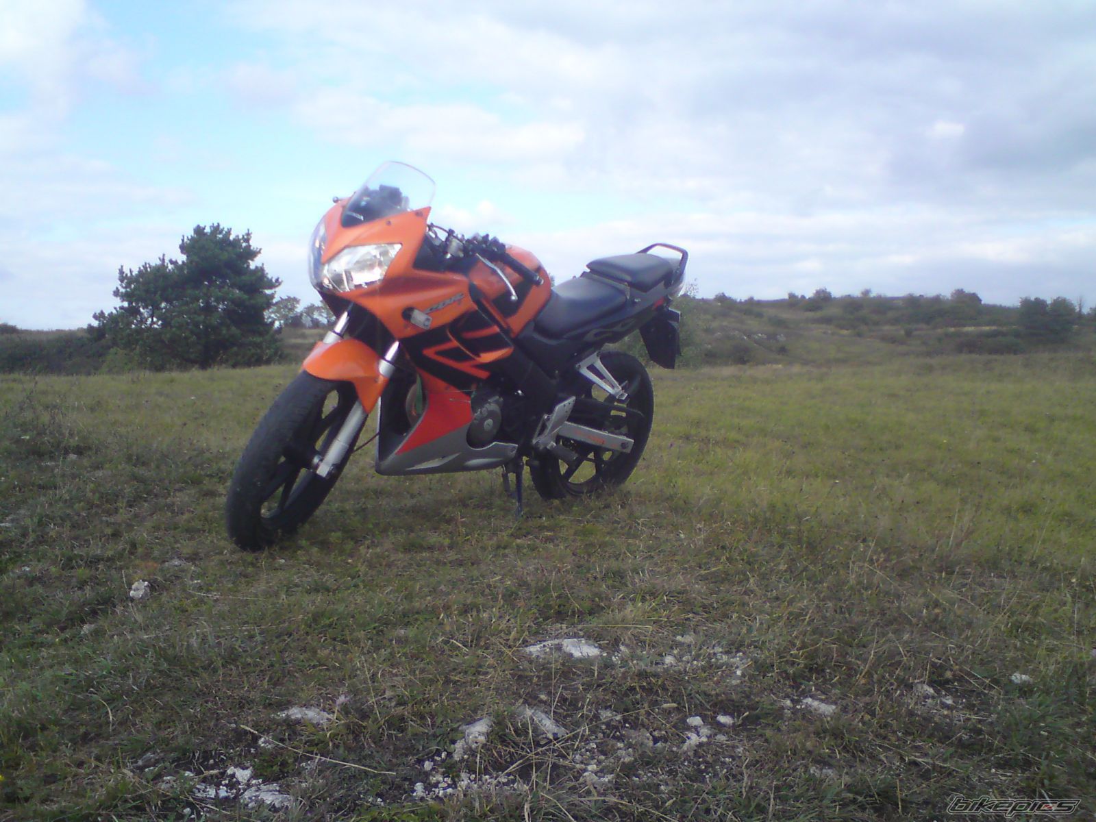 Photo 1847254