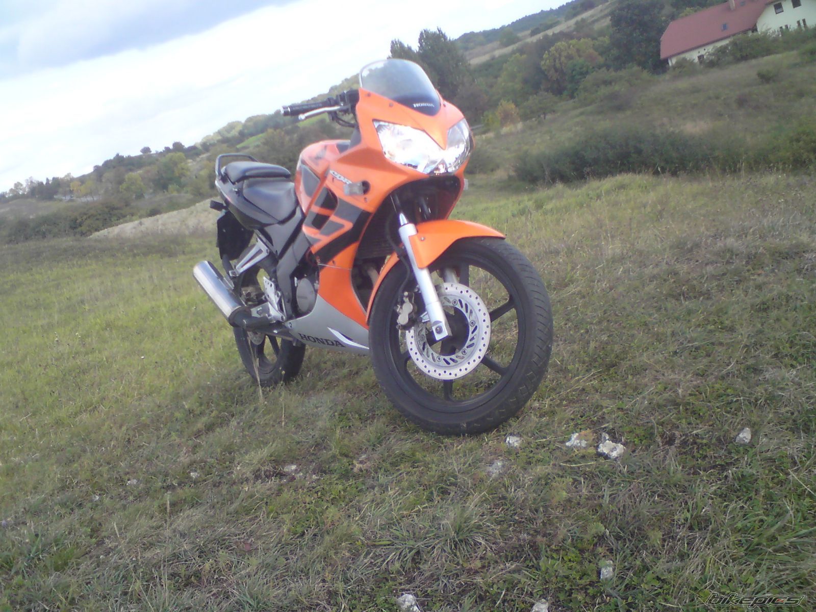 Photo 1847257