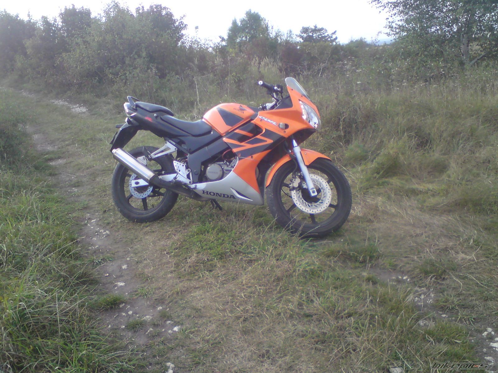 Photo 1847263
