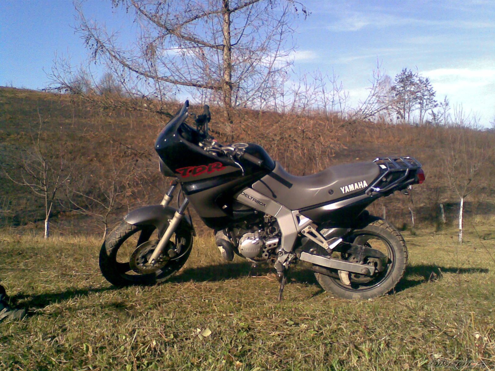 Photo 1847305