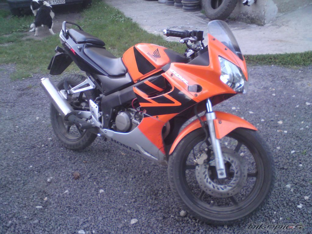 Photo 1847308