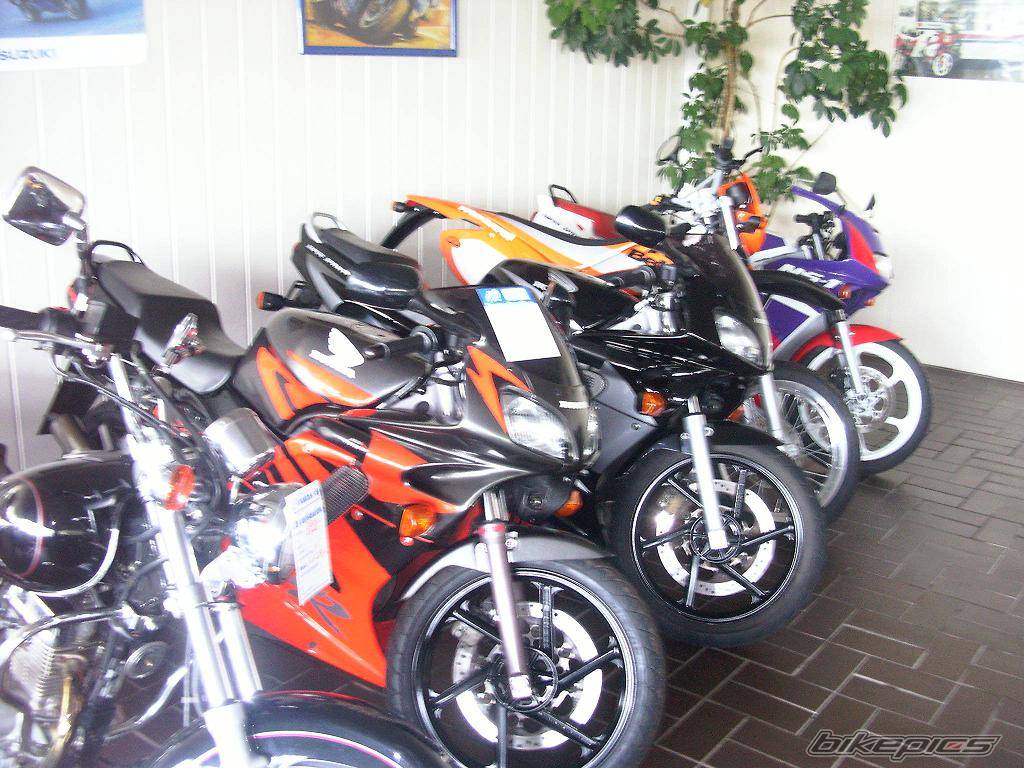 Photo 184731