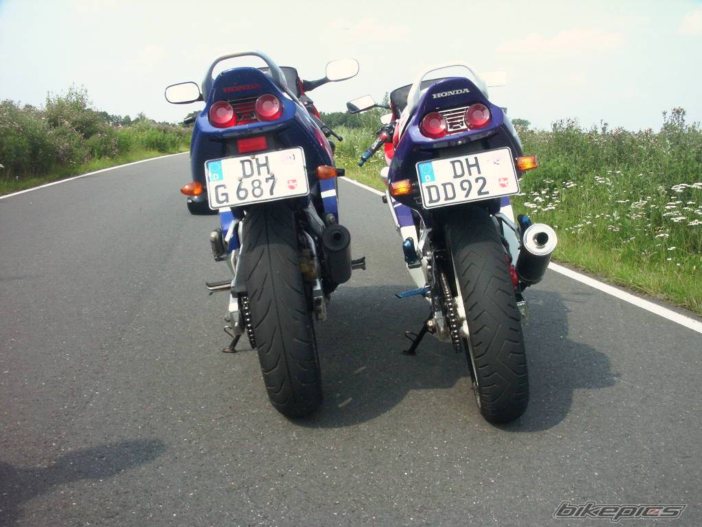 Photo 184732