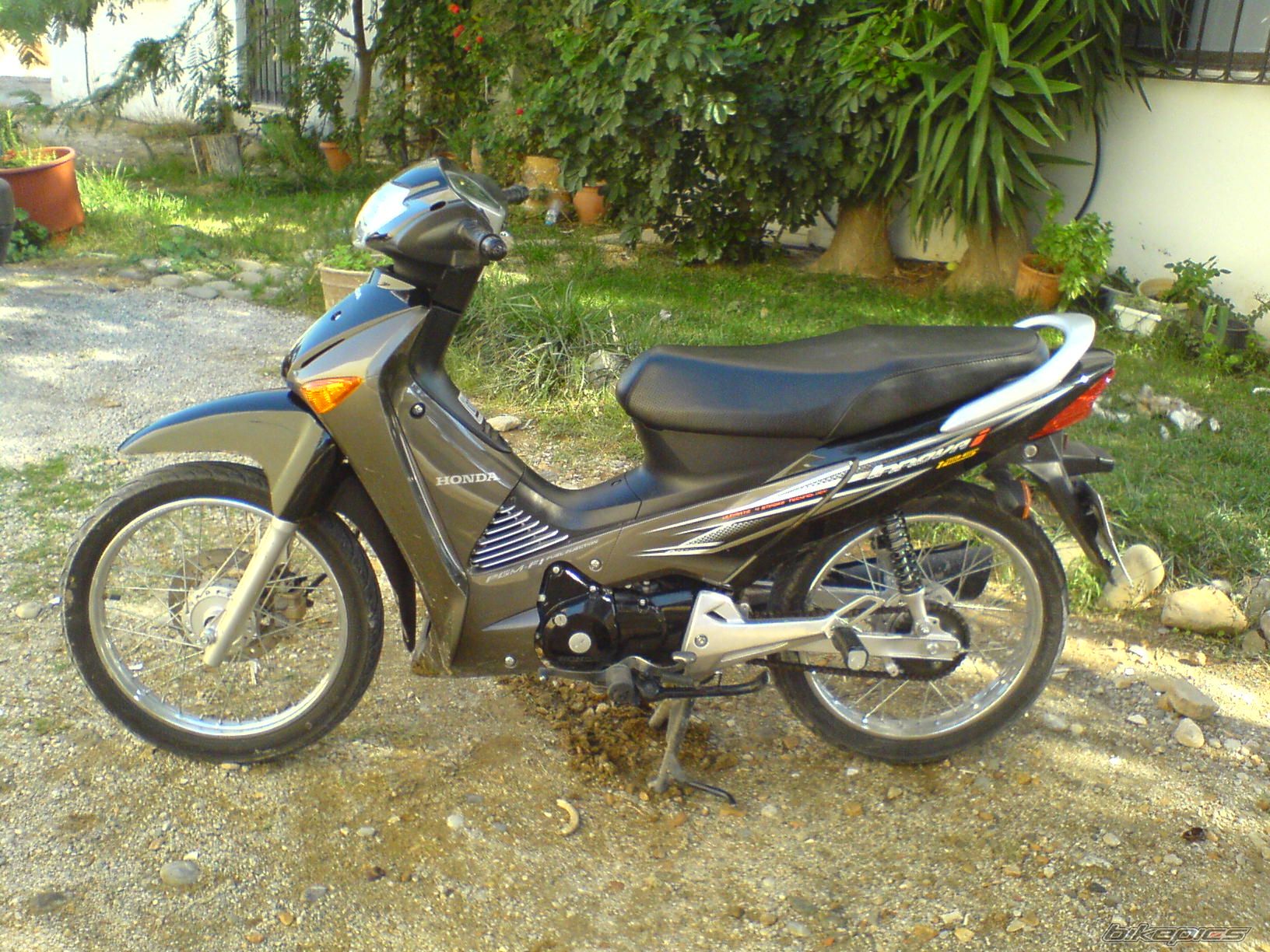 Photo 1847337