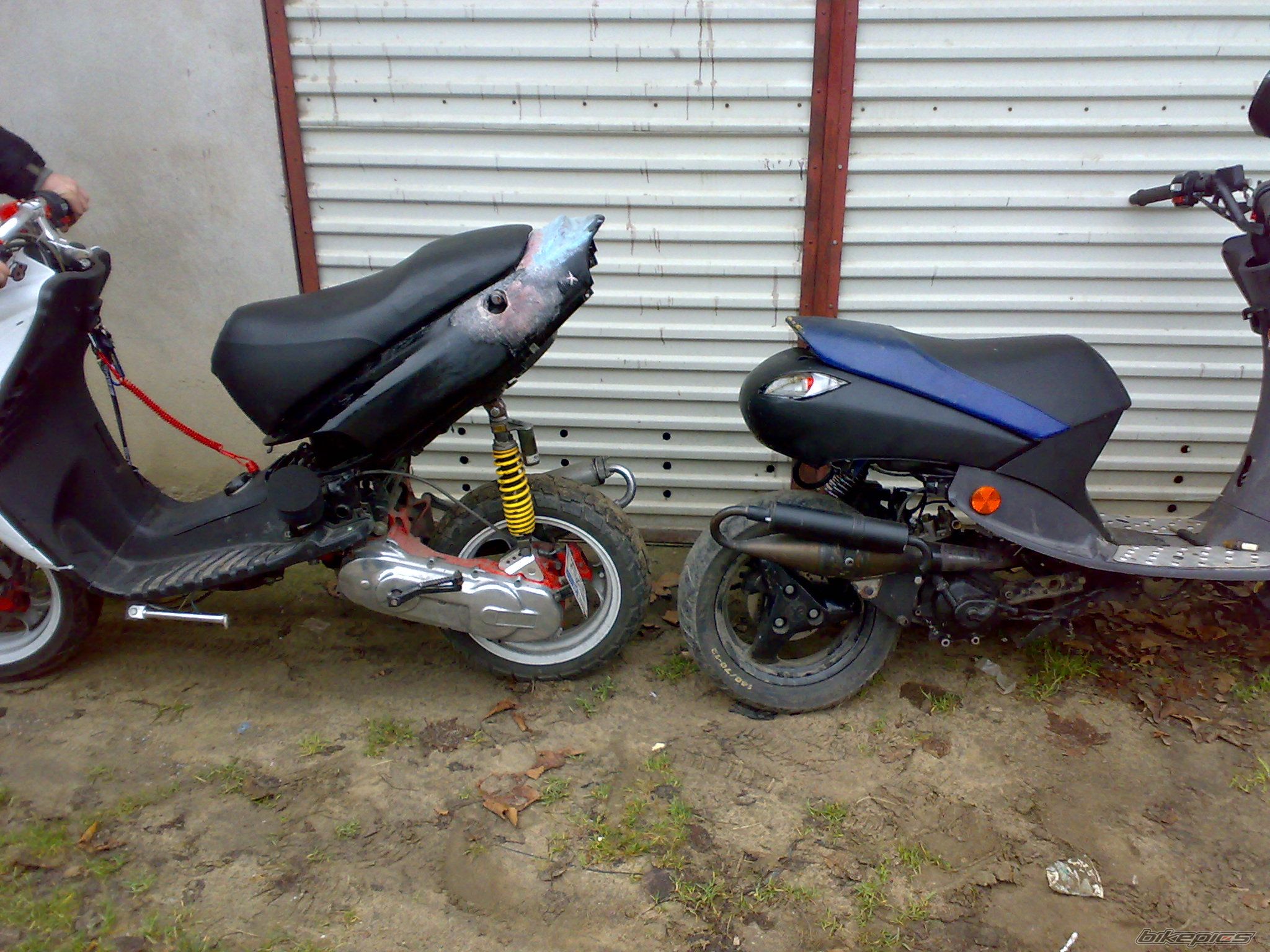 Photo 1847398