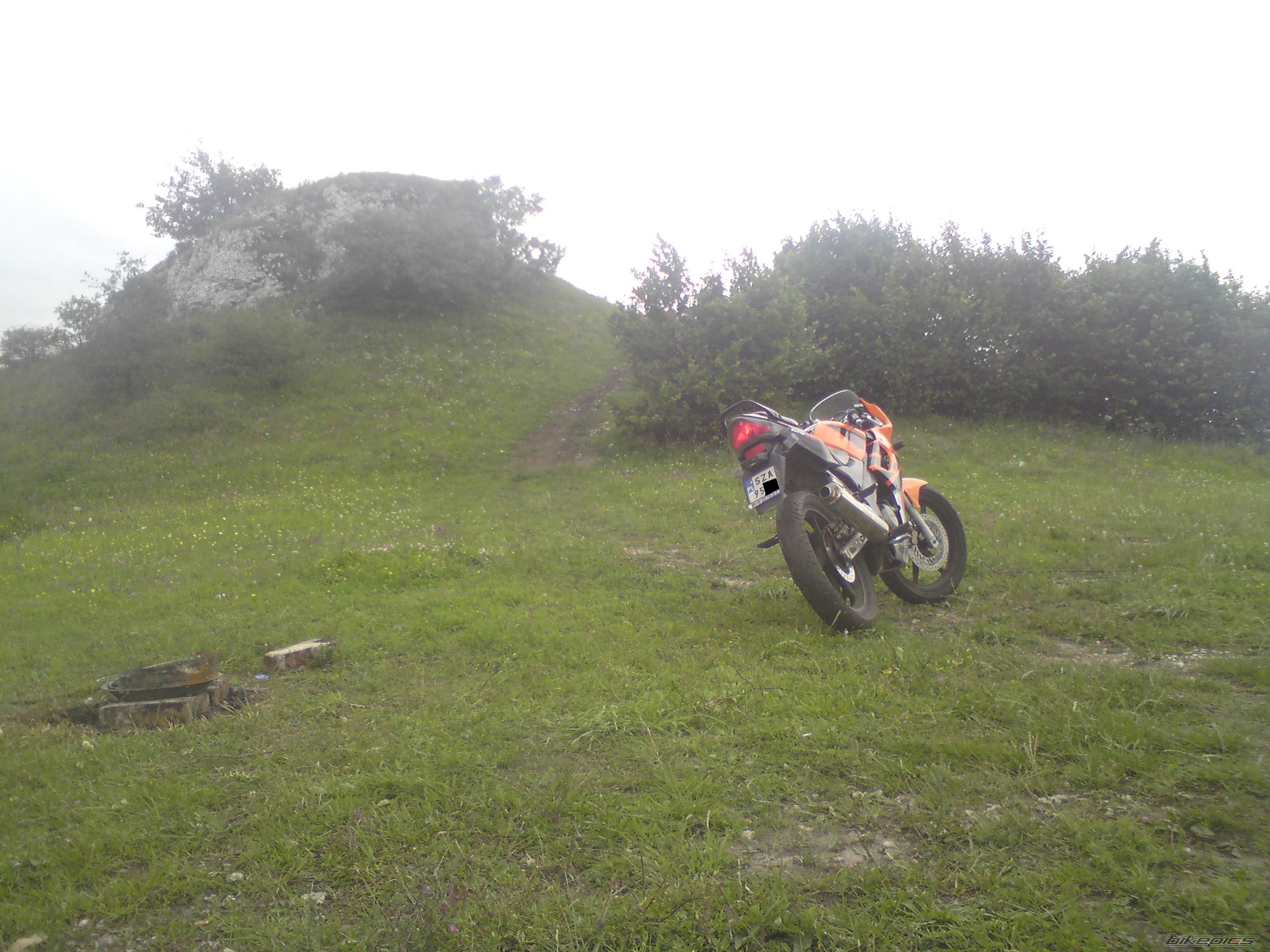 Photo 1847443