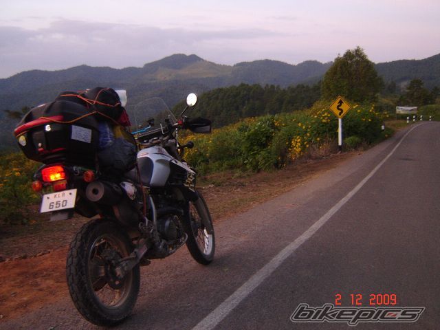 Bike Photo 1847462