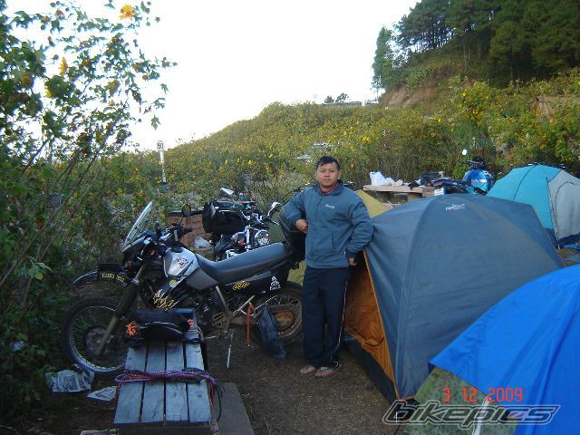 Photo 1847463