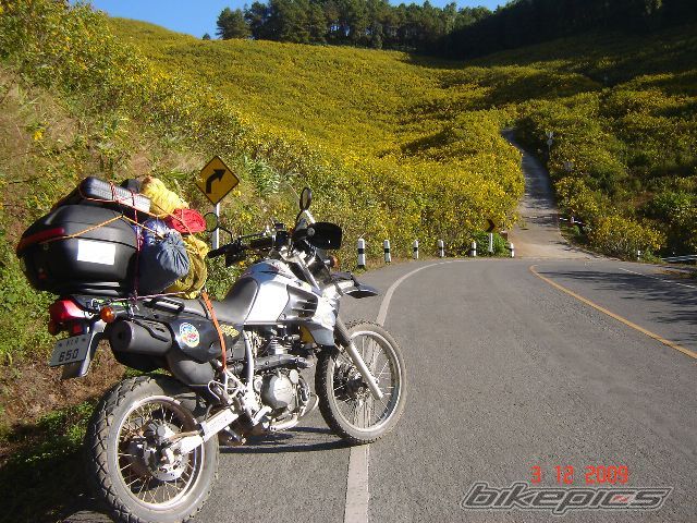 Bike Photo 1847467