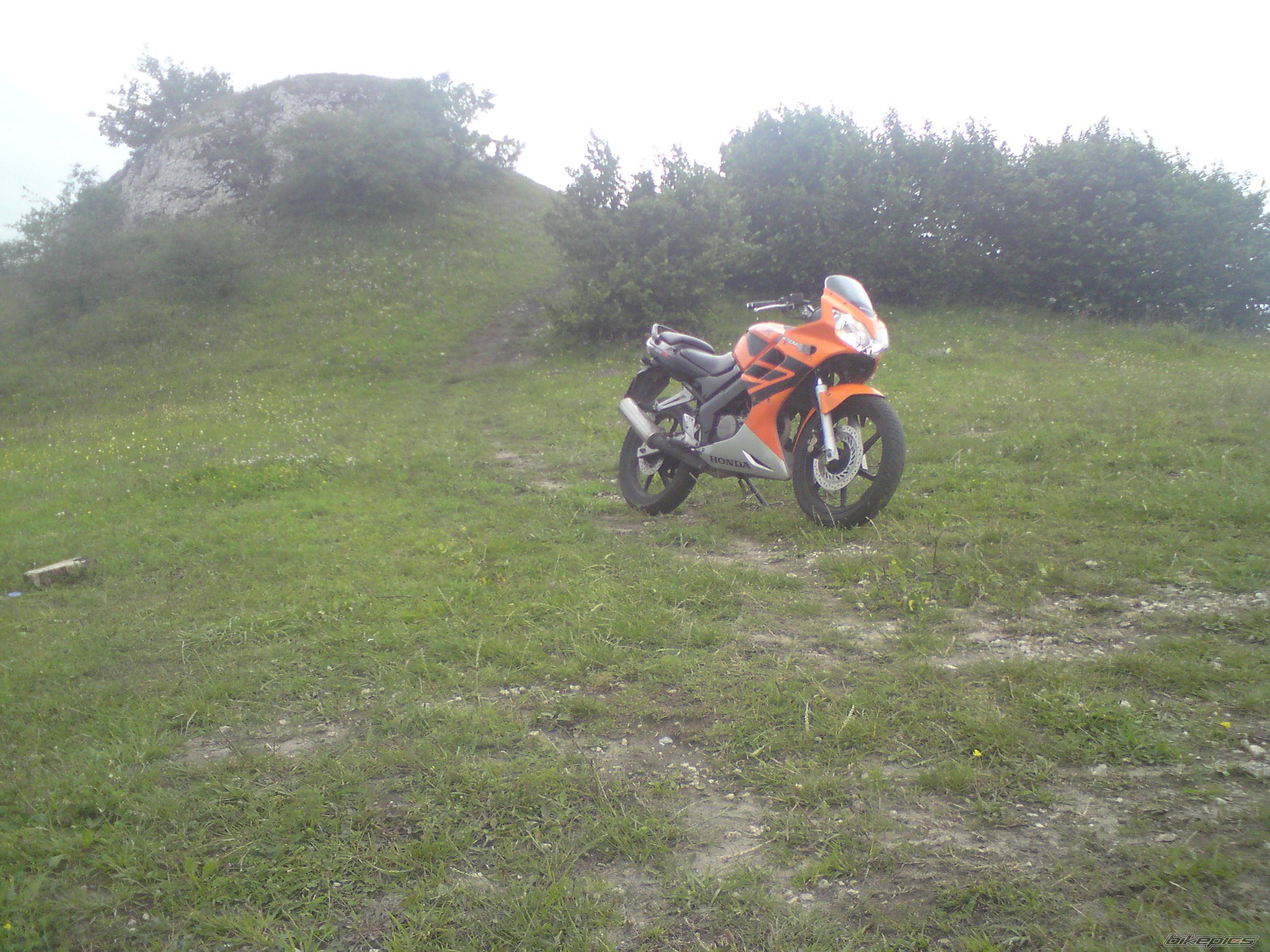 Photo 1847484