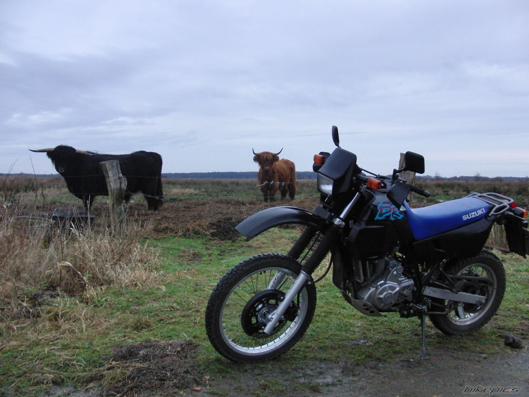 Photo 1847631