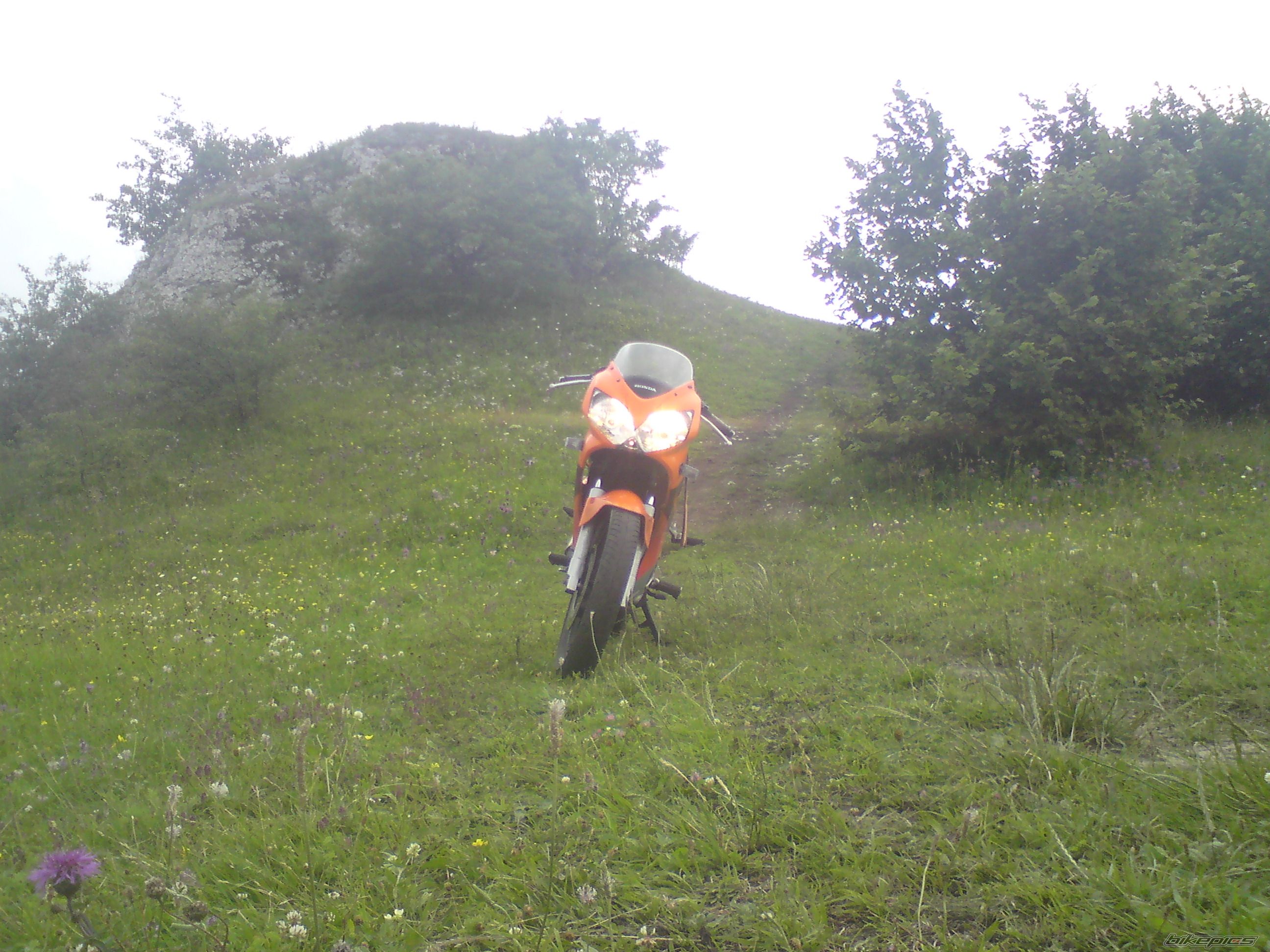 Photo 1847651