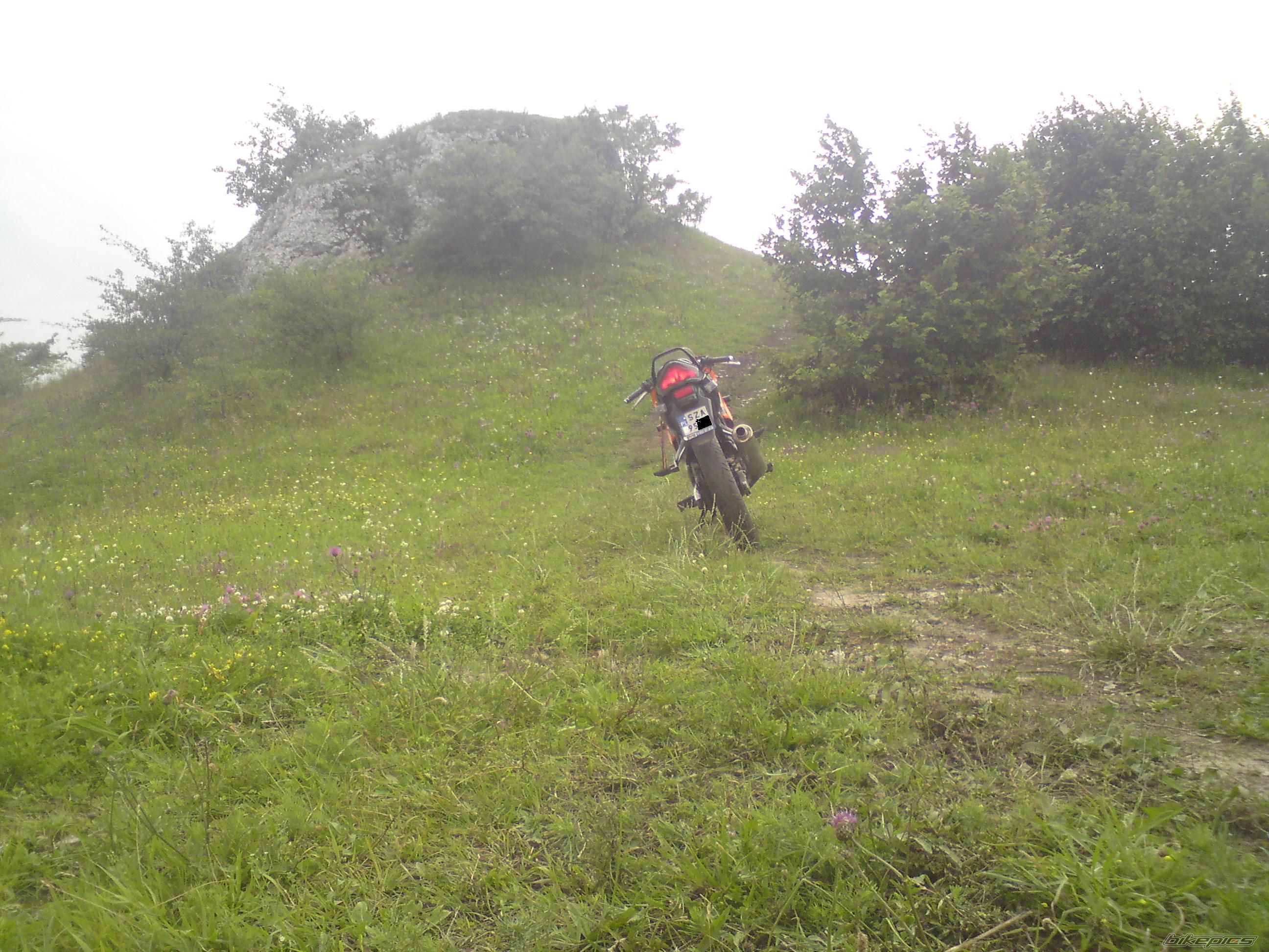 Photo 1847652
