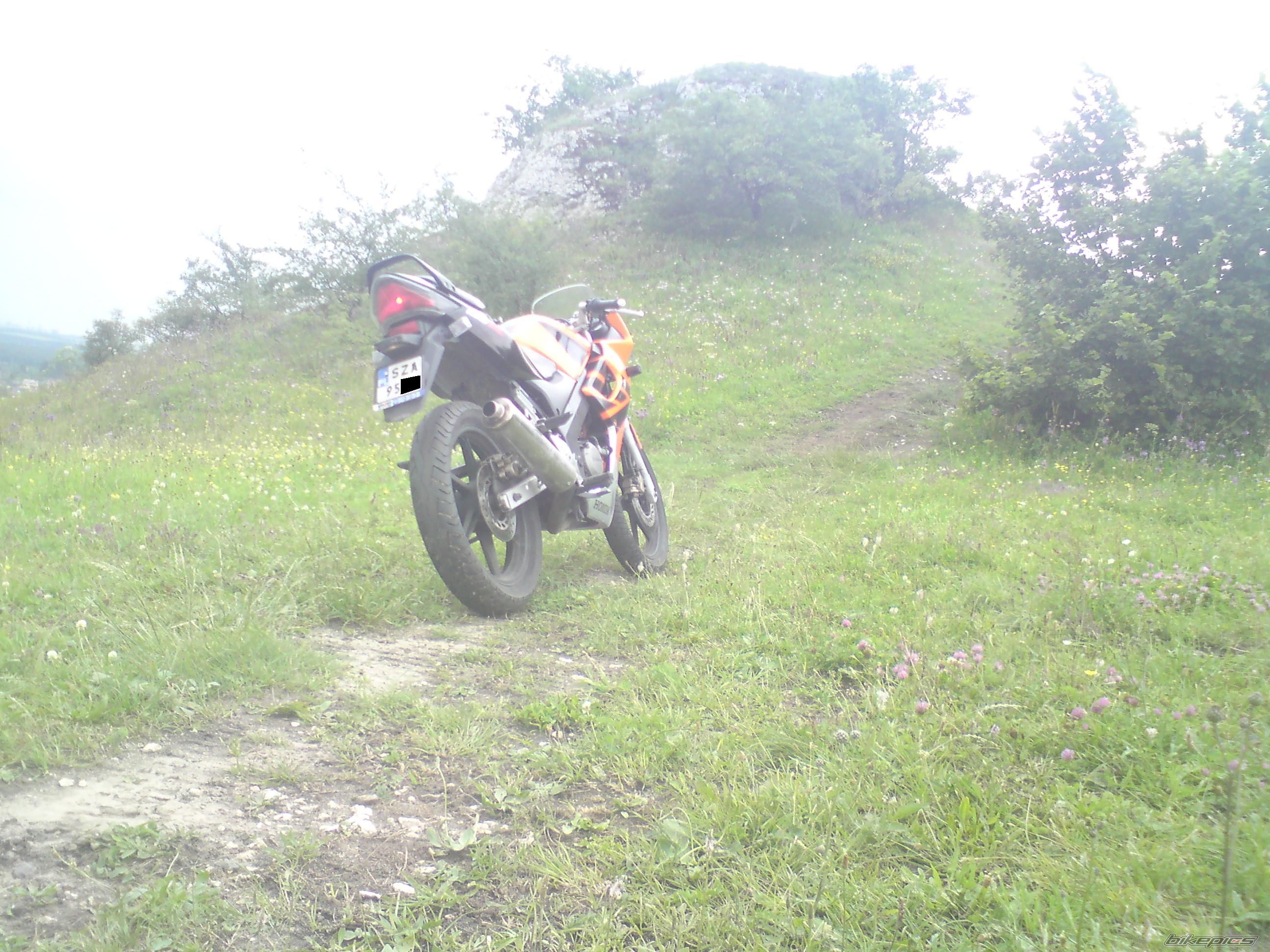 Photo 1847653