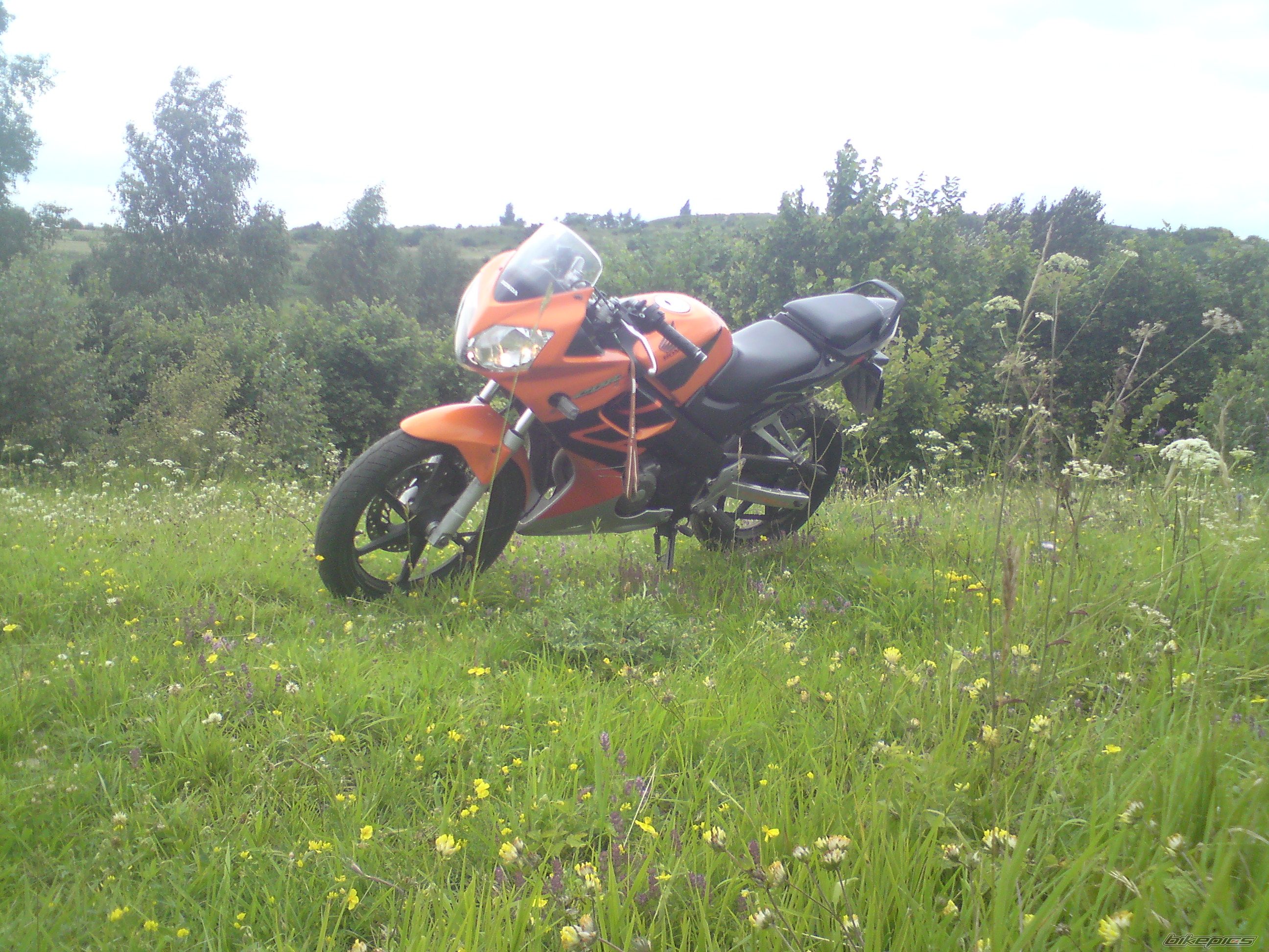 Photo 1847654