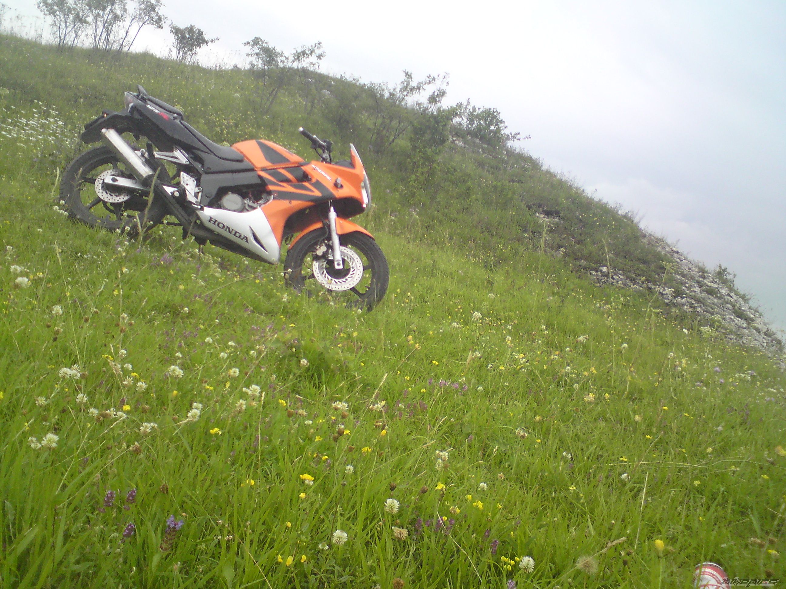 Photo 1847656