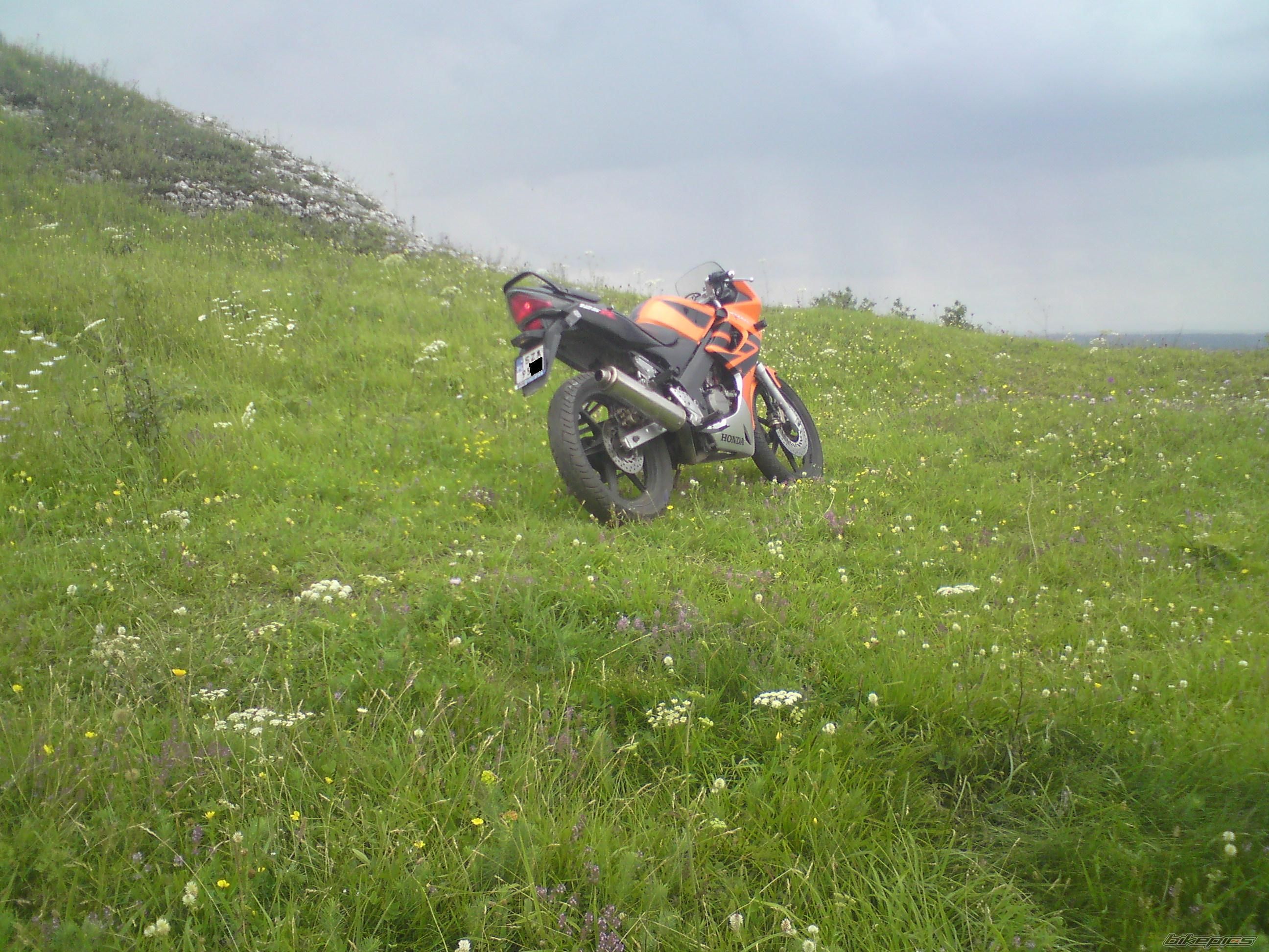 Photo 1847657