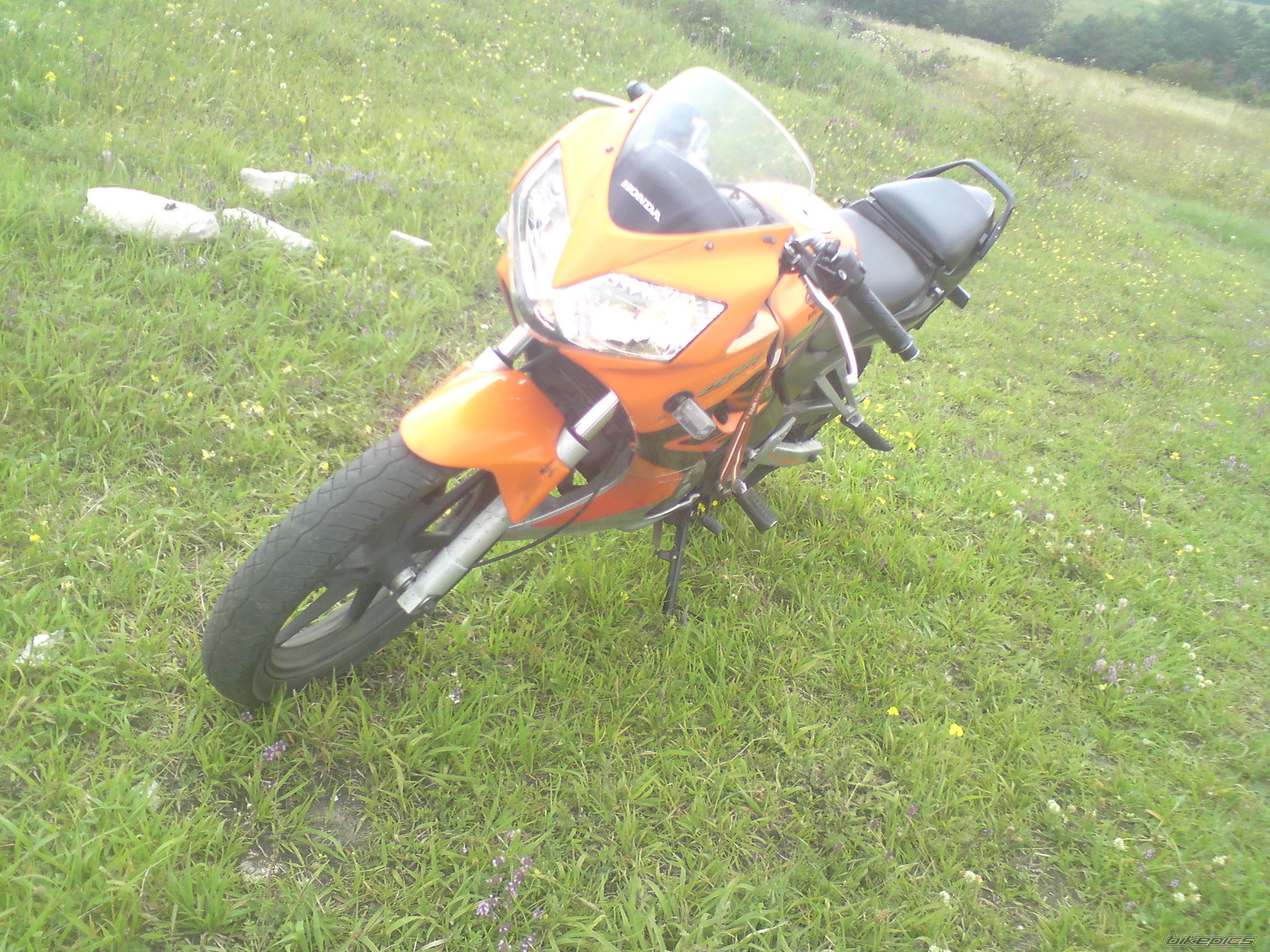 Photo 1847659