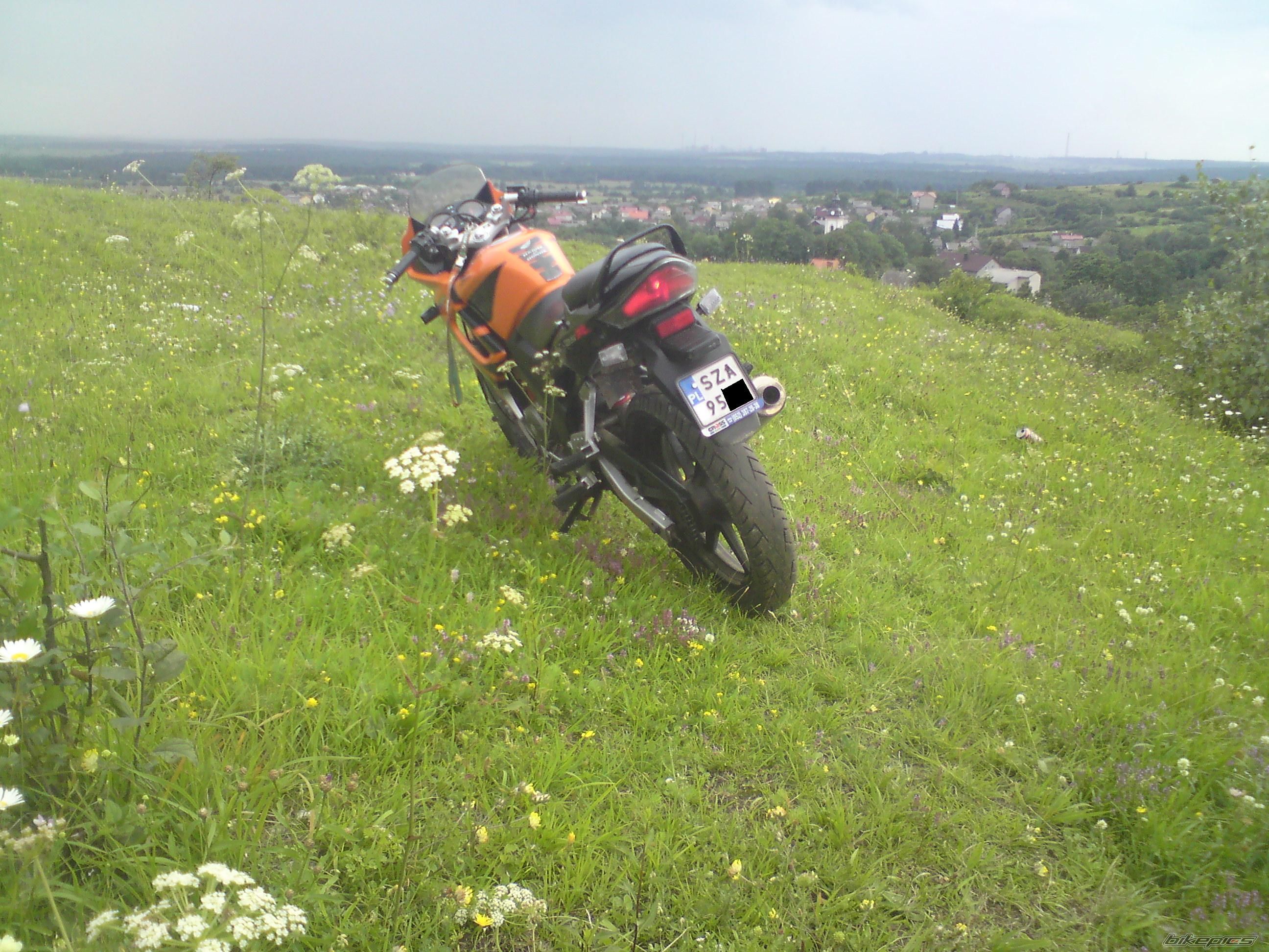 Photo 1847690