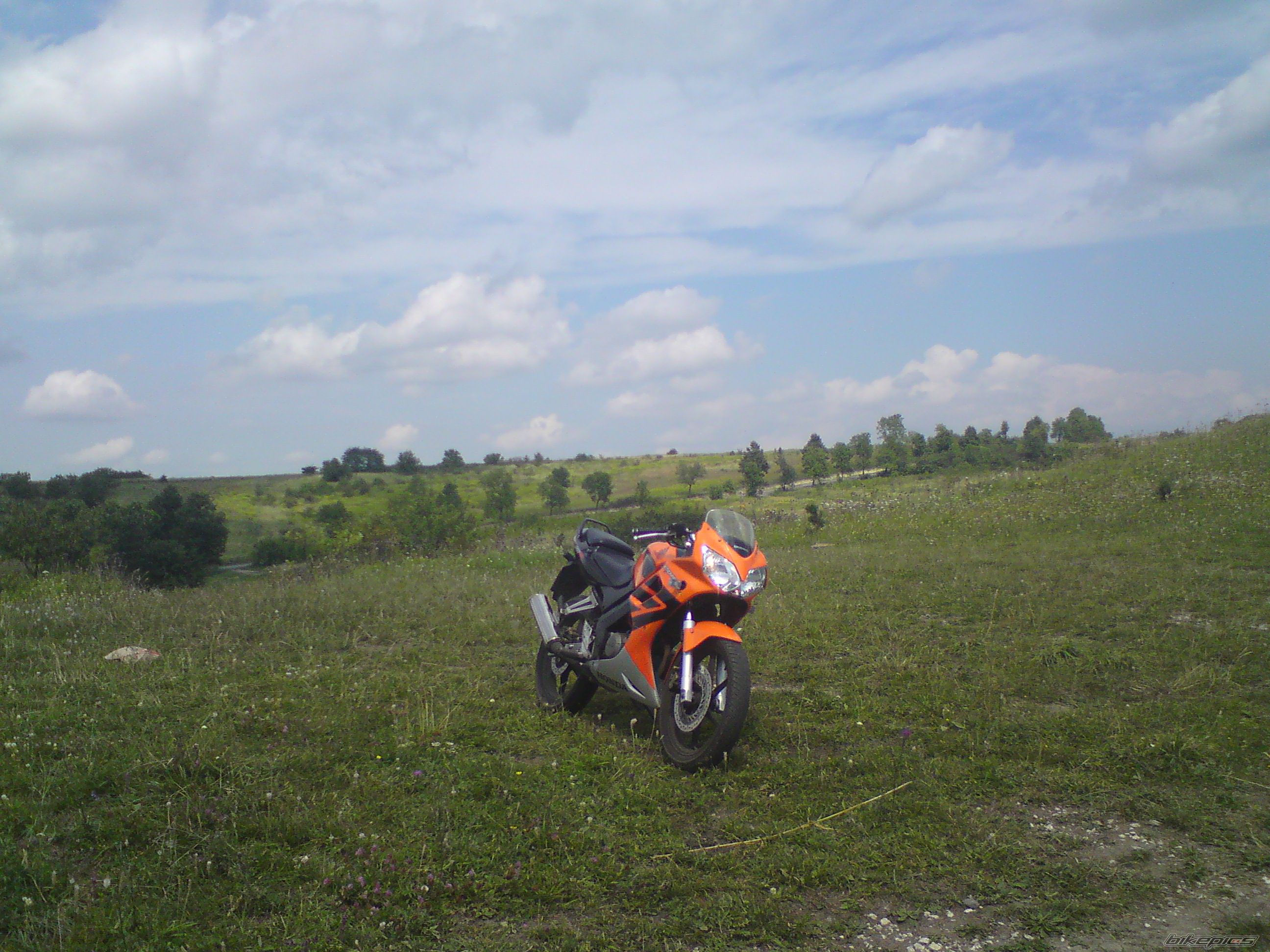 Photo 1847707