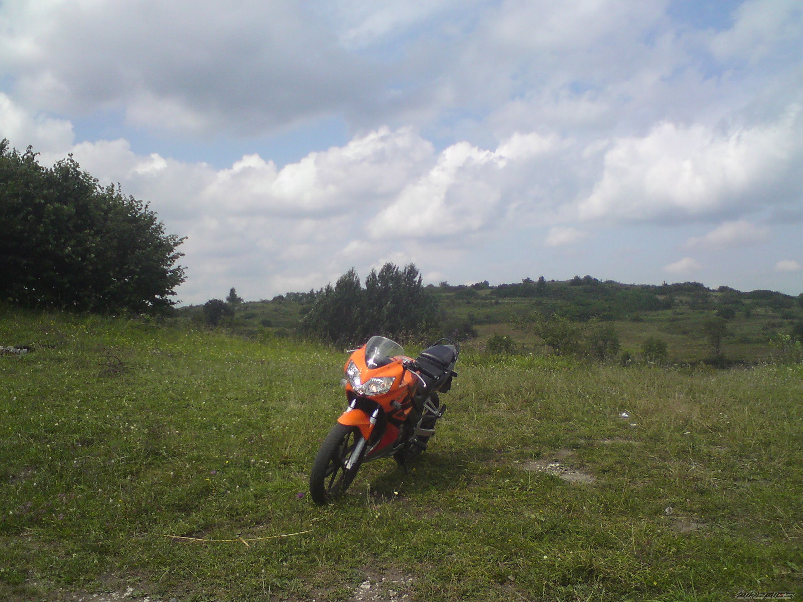 Photo 1847710