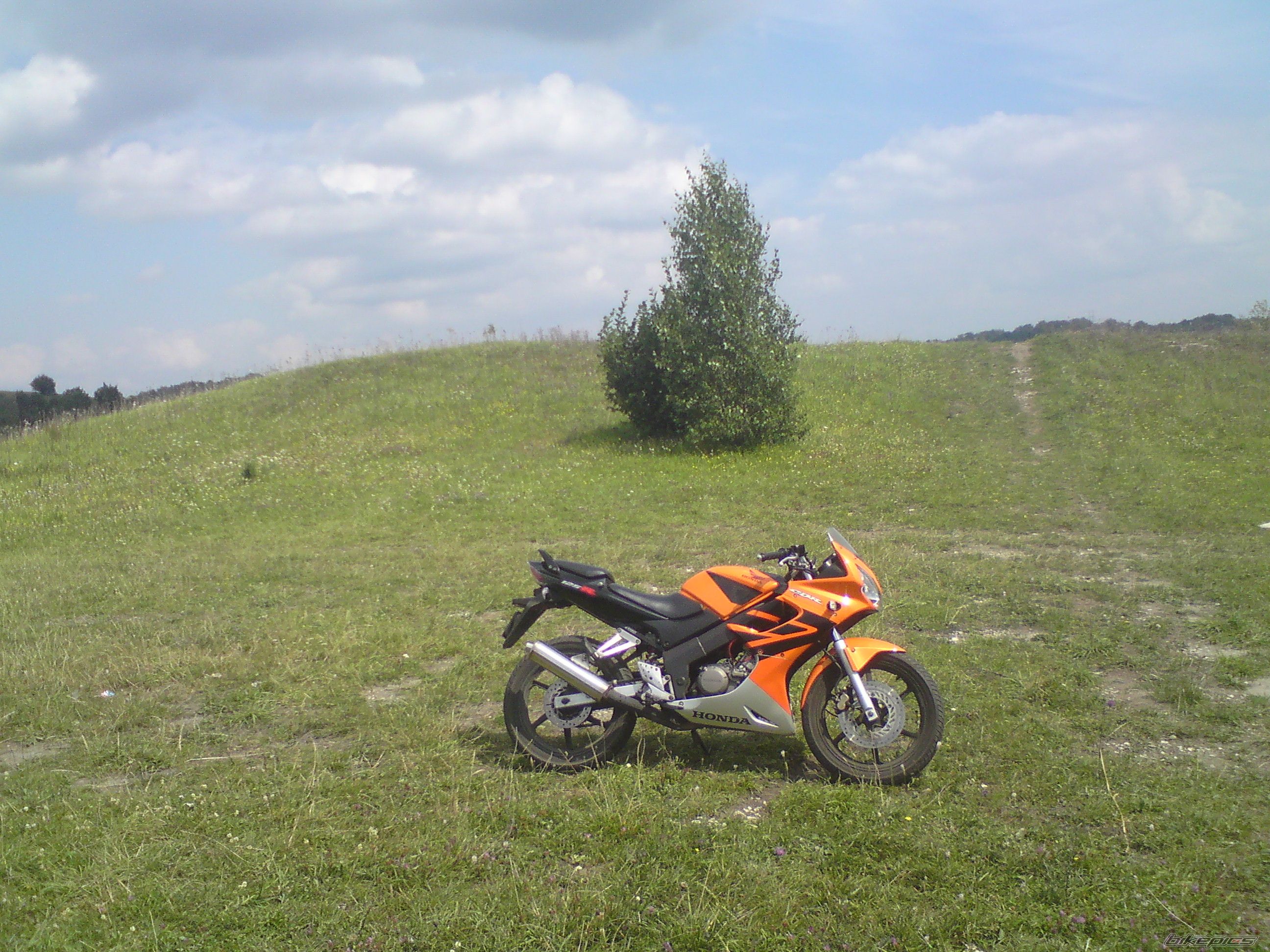 Photo 1847724