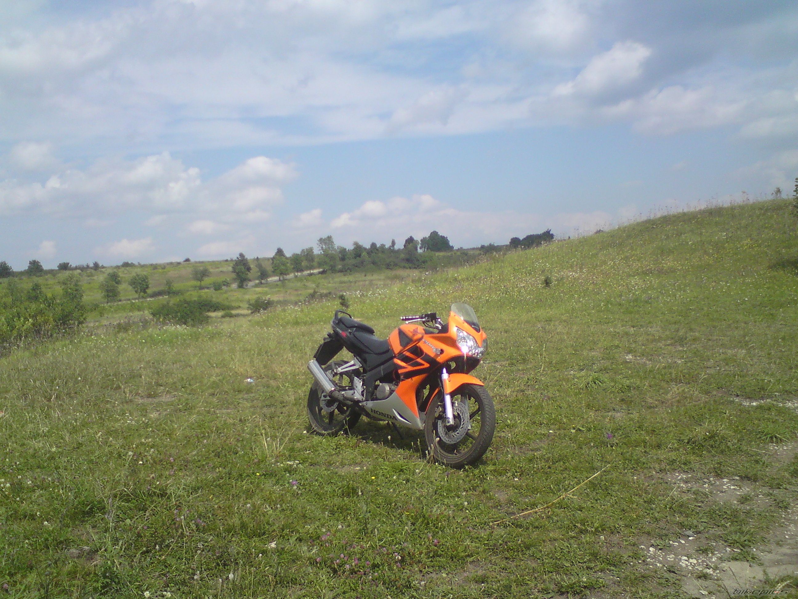Photo 1847726
